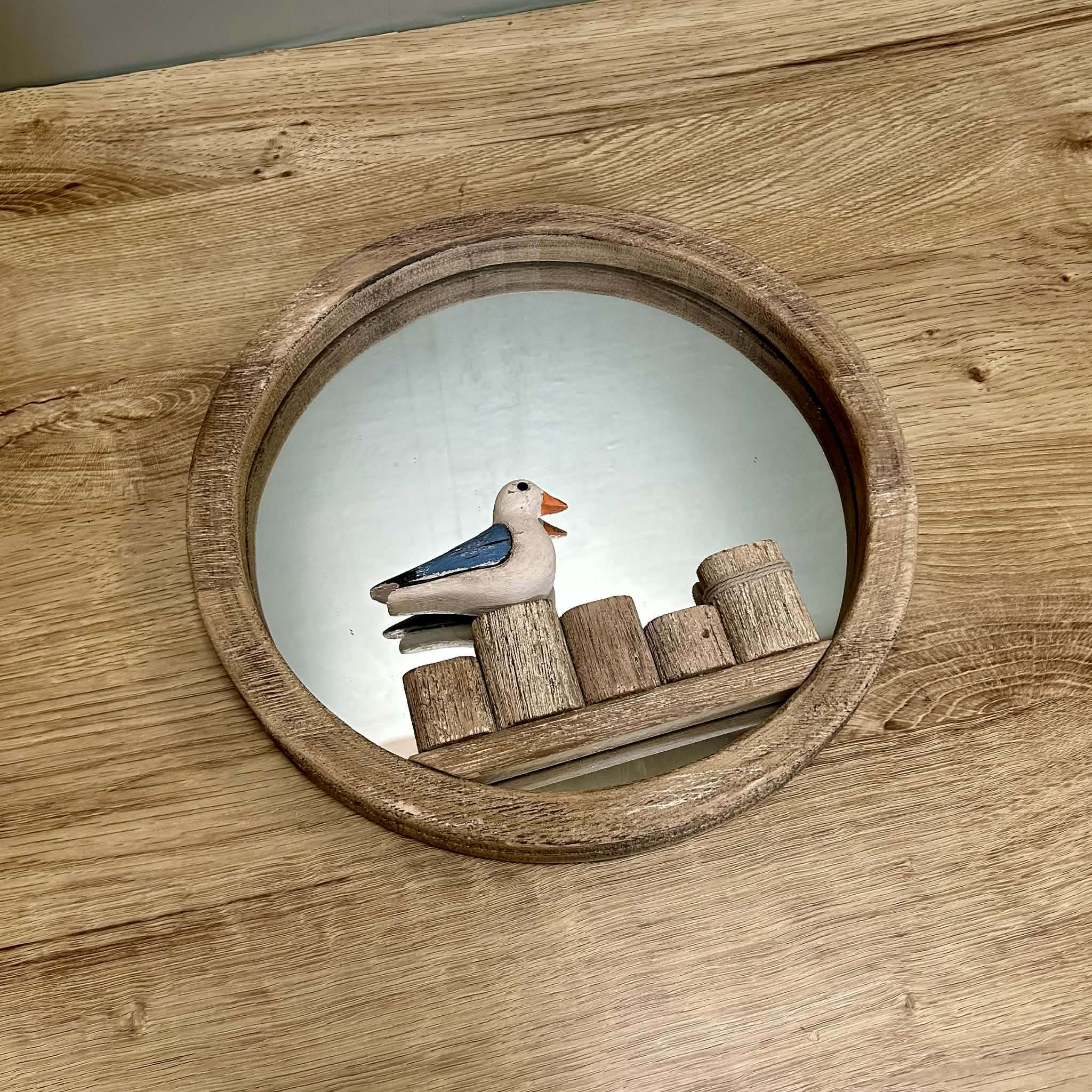 Seagull Mirror