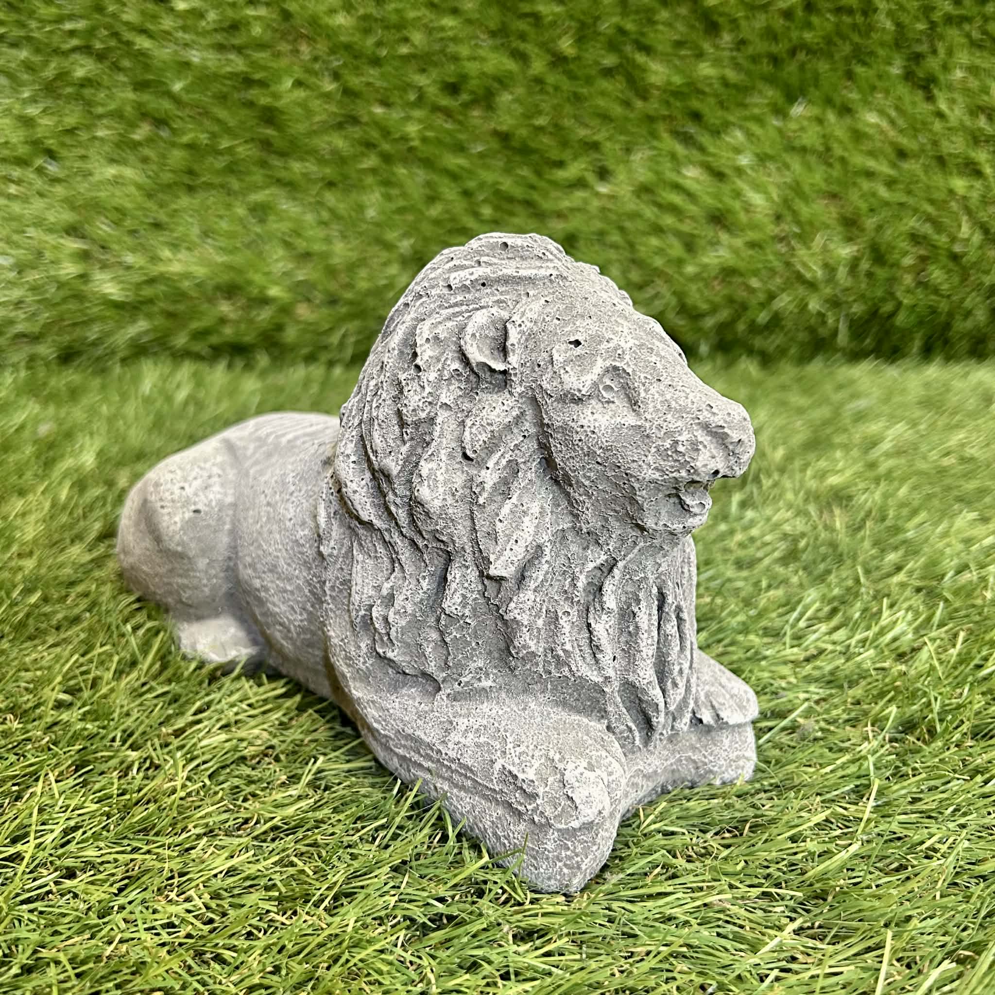 Small Lion