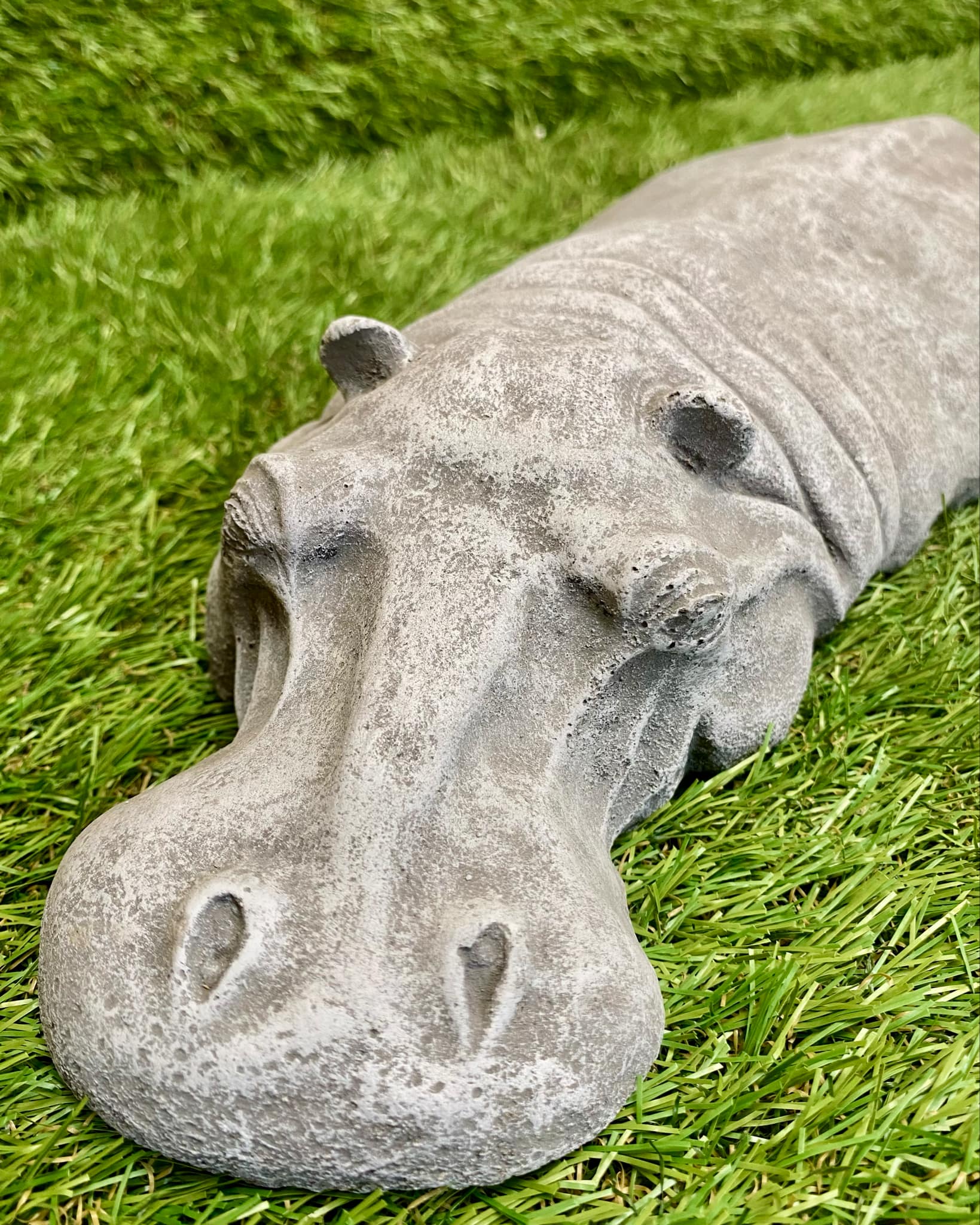 Submerged Hippo
