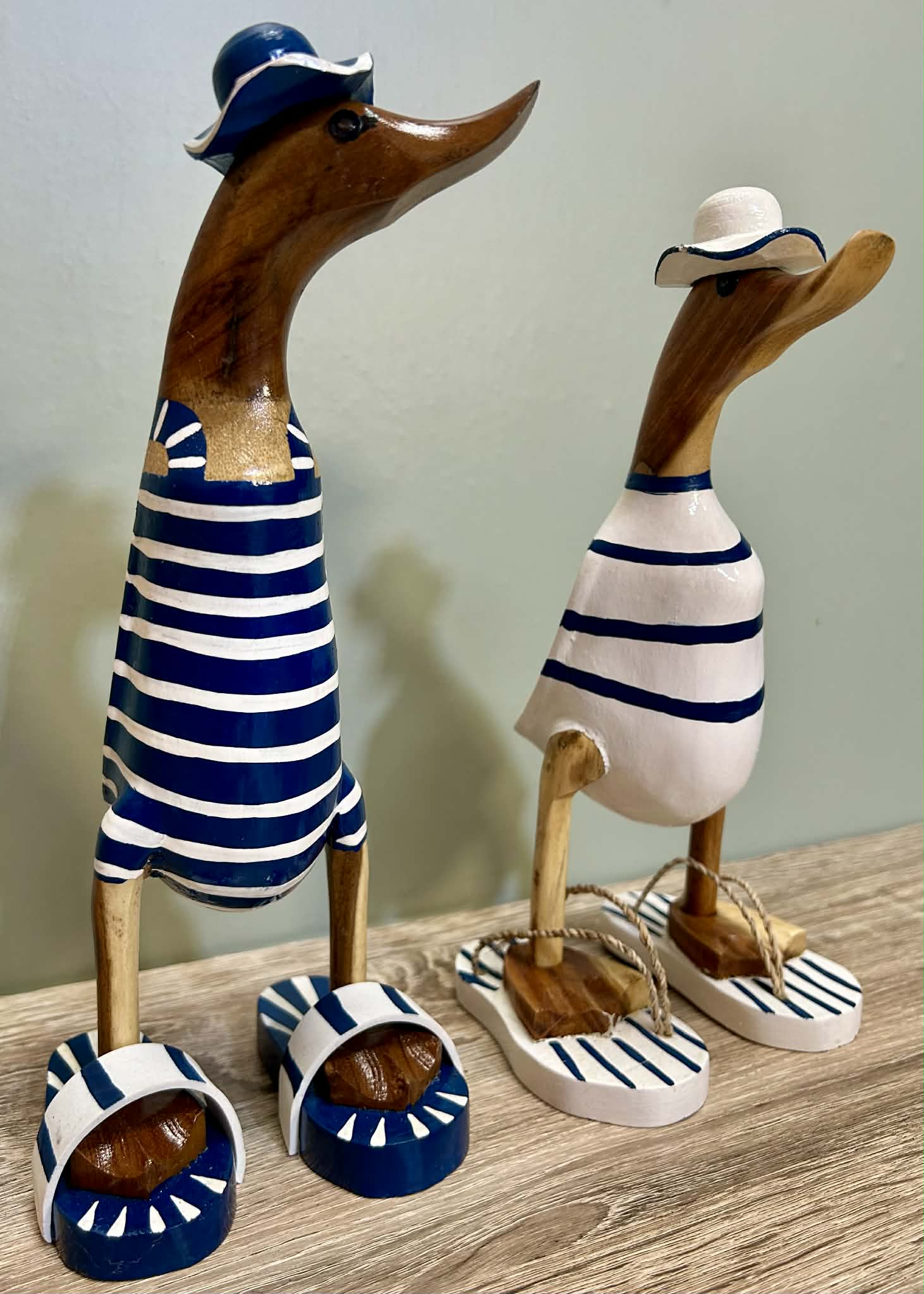 Wooden Ducks Swimsuits