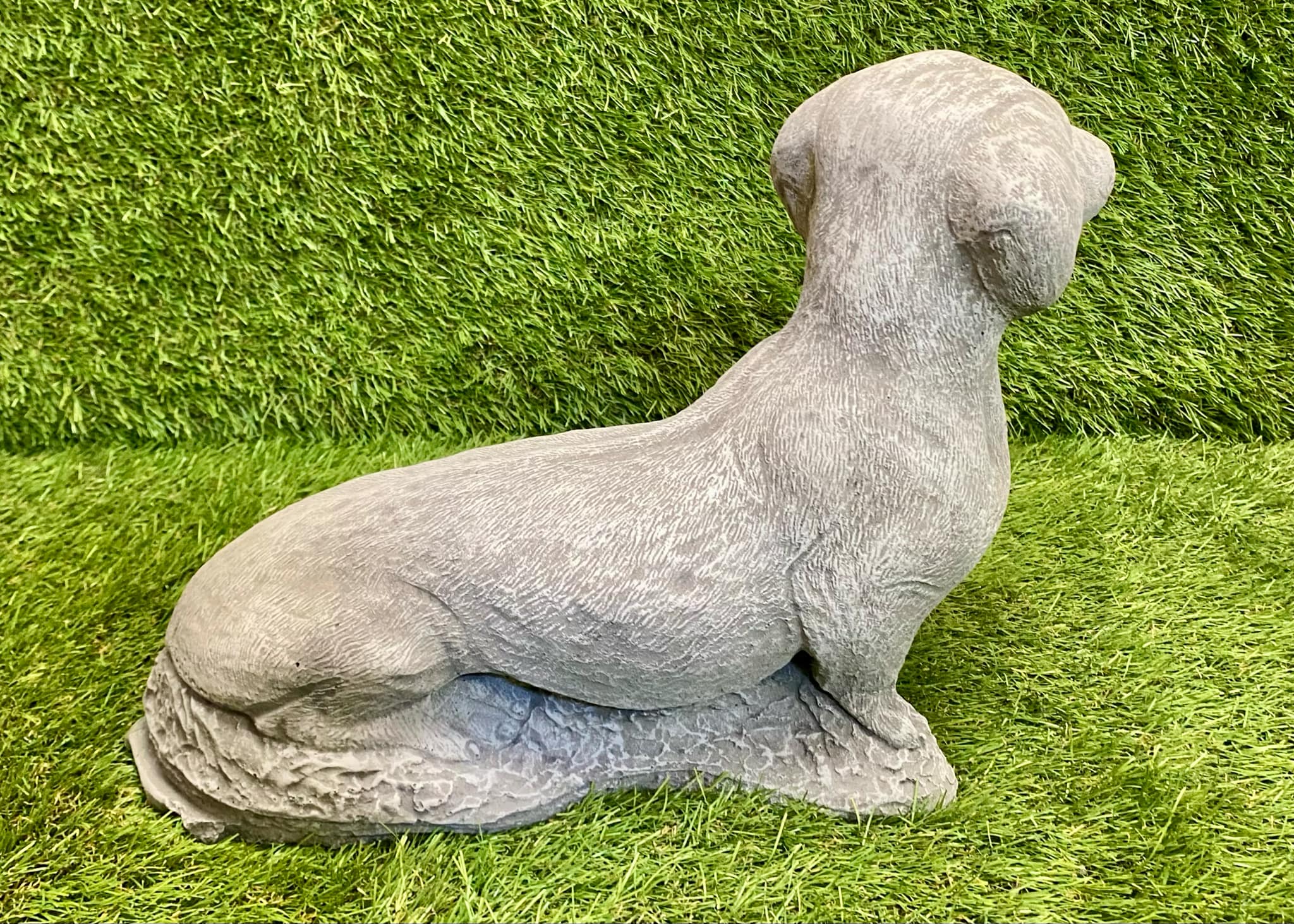 Sausage Dog