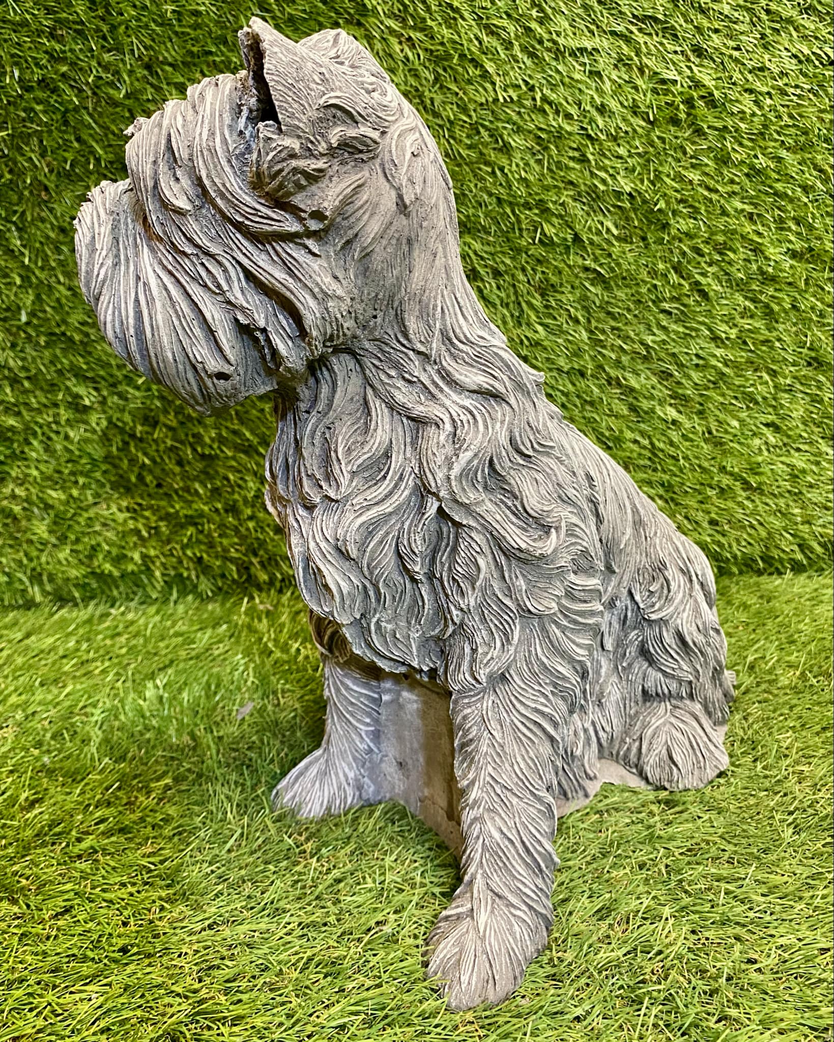 Large Westie Dog