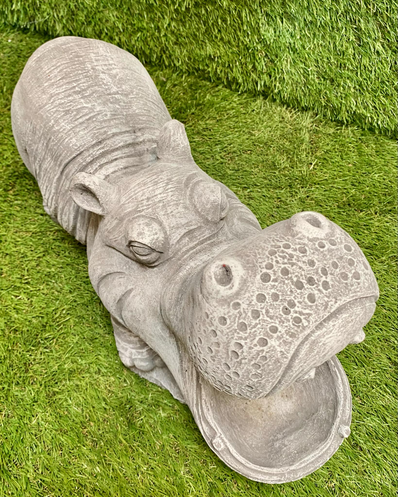 Large Hippo