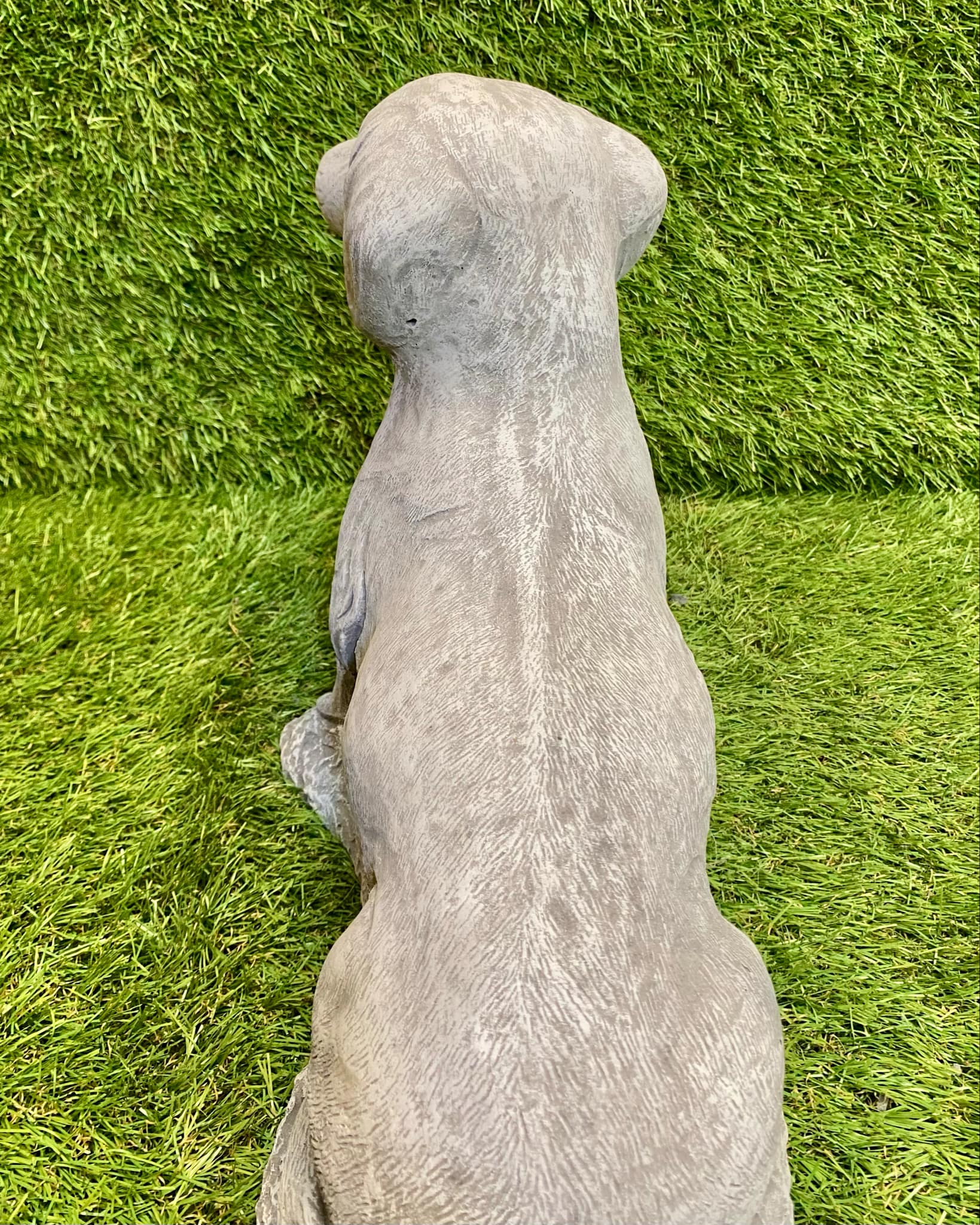 Sausage Dog