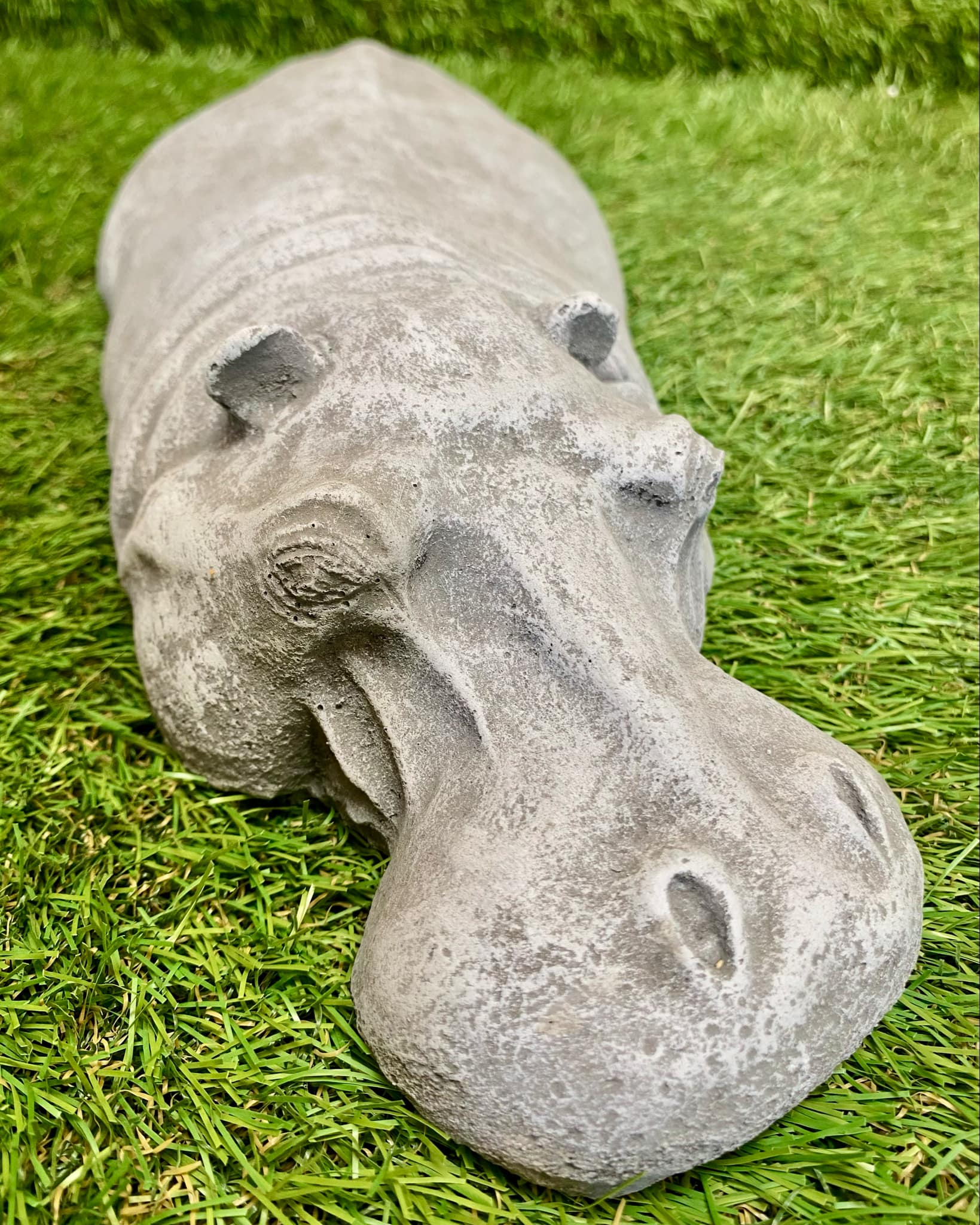Submerged Hippo