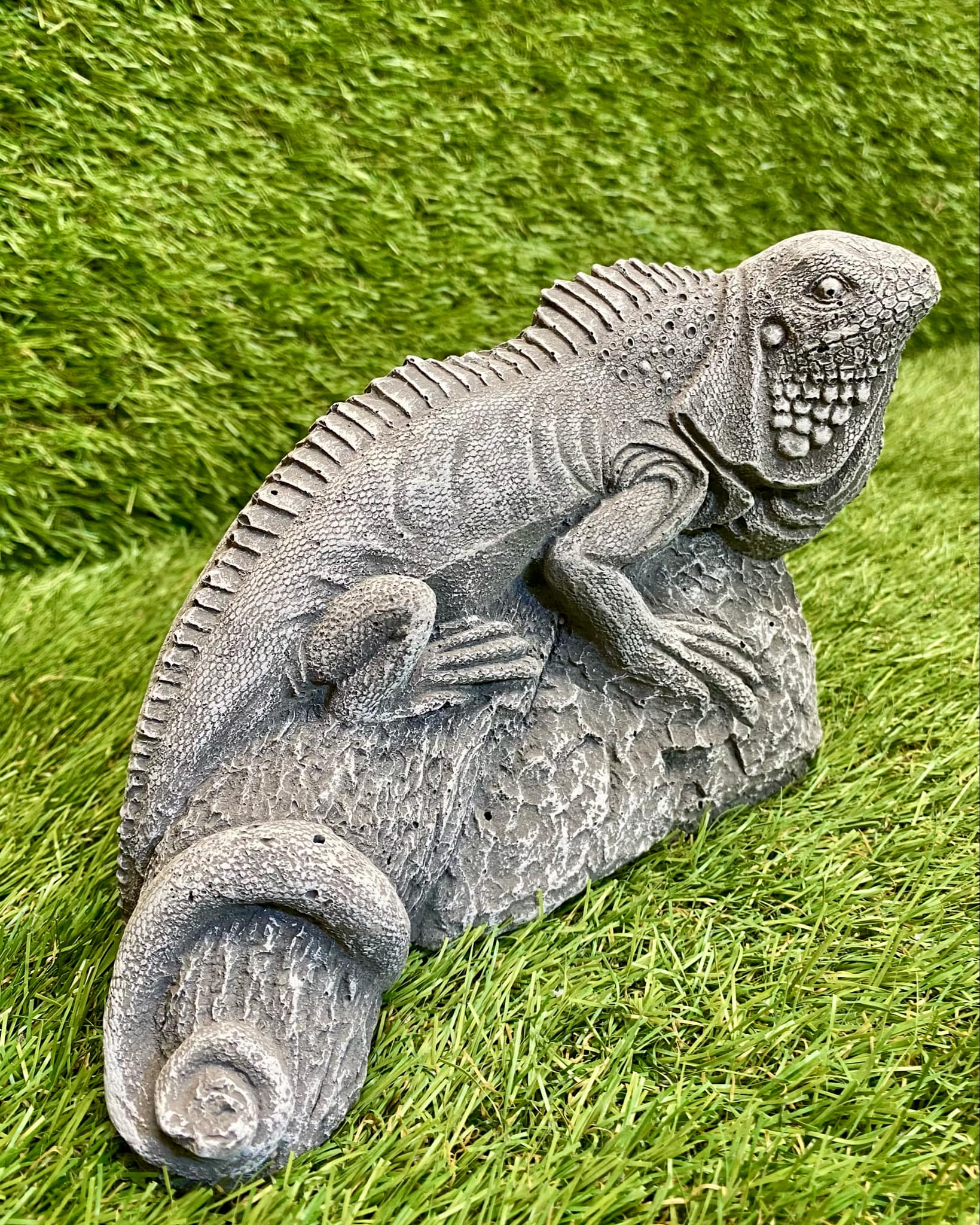 Iguana