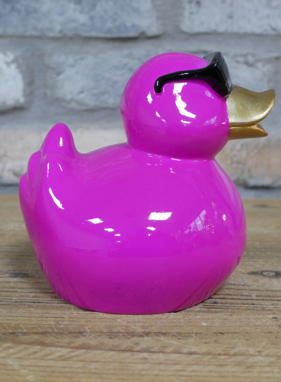 Small Pink Coloured Cool Duck