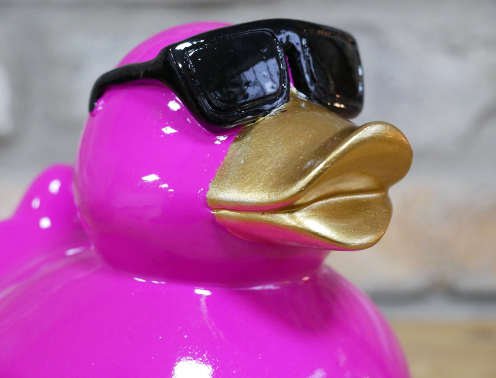 Small Pink Coloured Cool Duck