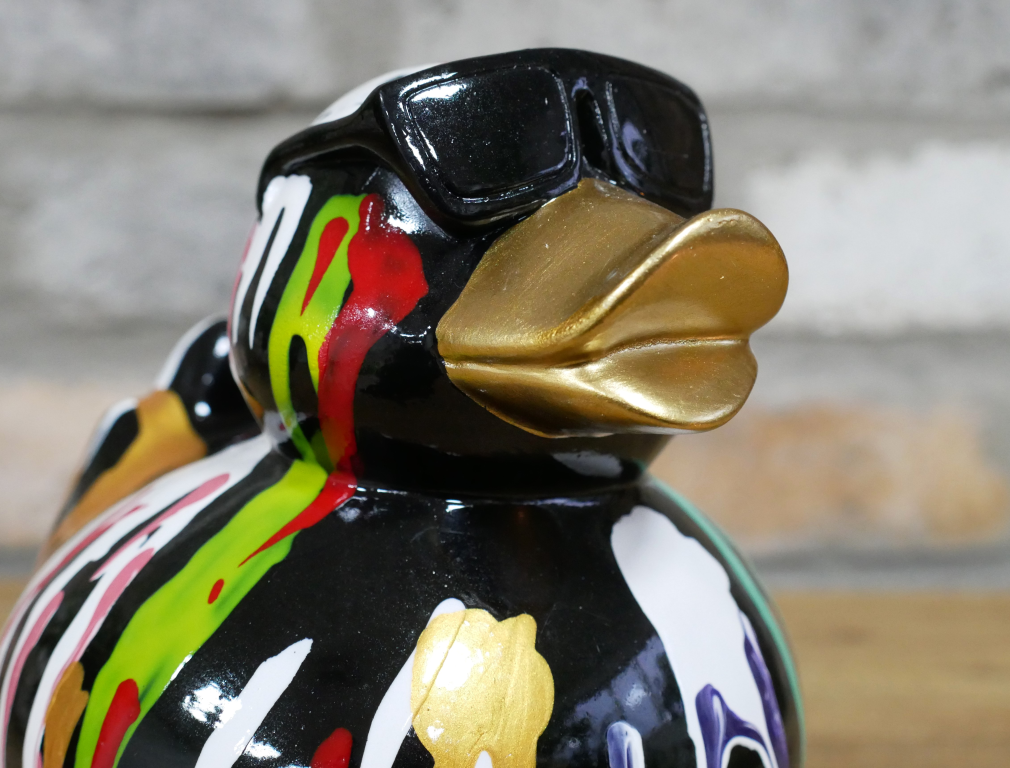 Small Multi Coloured Cool Duck