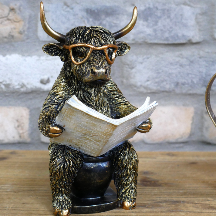 Highland Cow Sat on the Loo