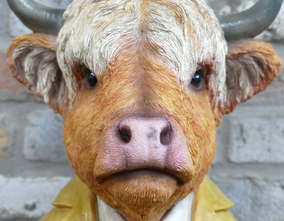 Large Highland Cow Bust