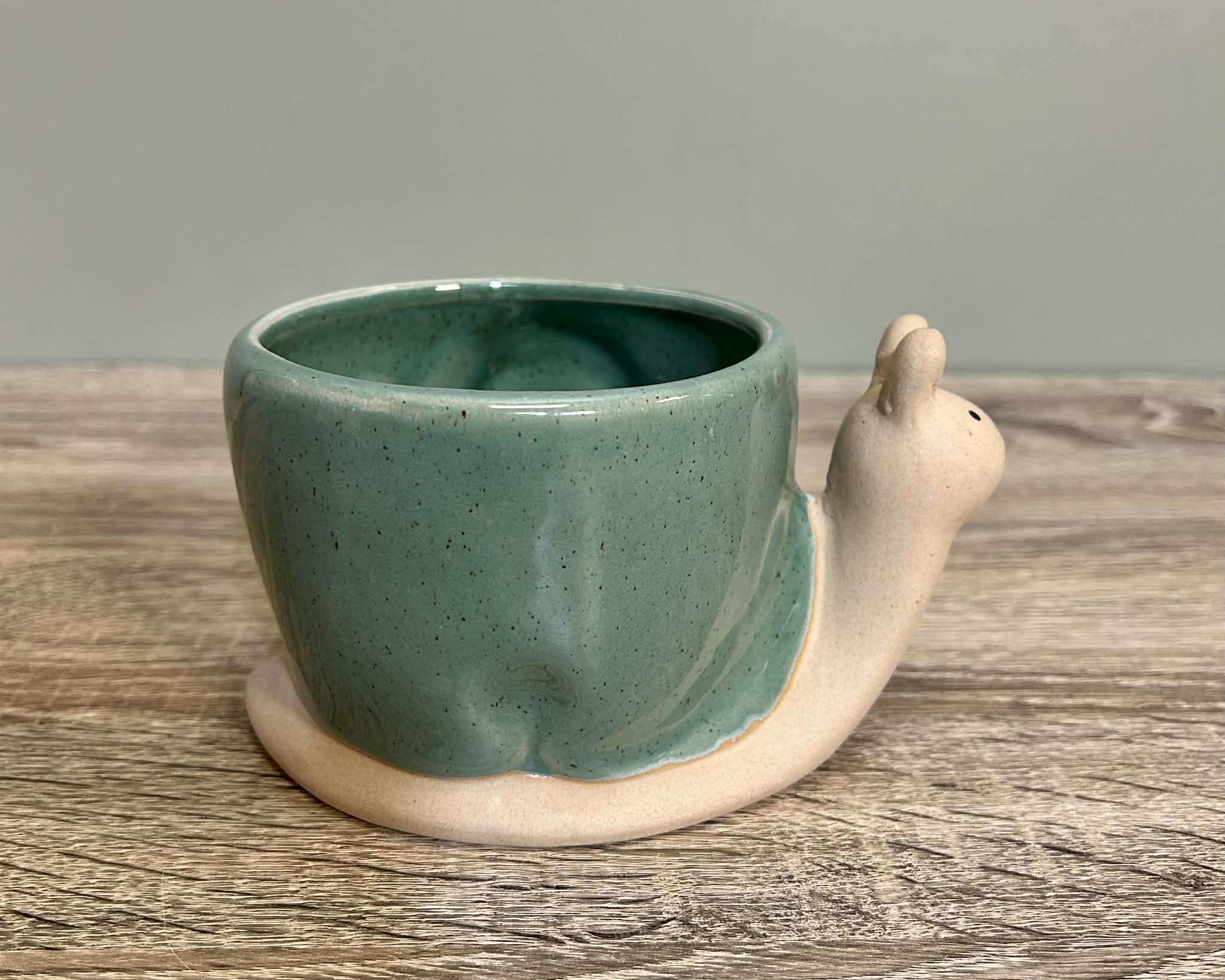 Ceramic Snail Planter