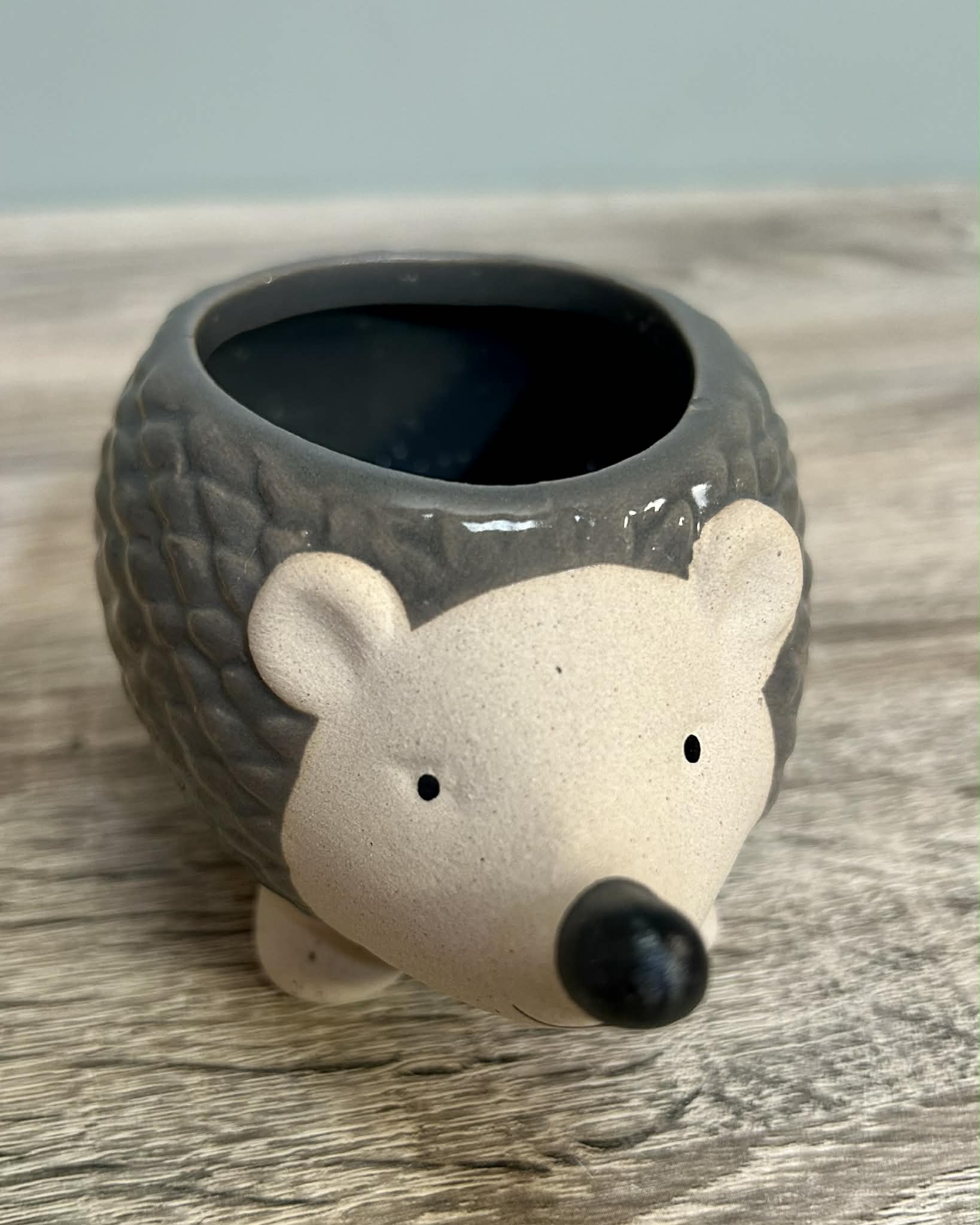 Ceramic Hedgehog Plant Pot