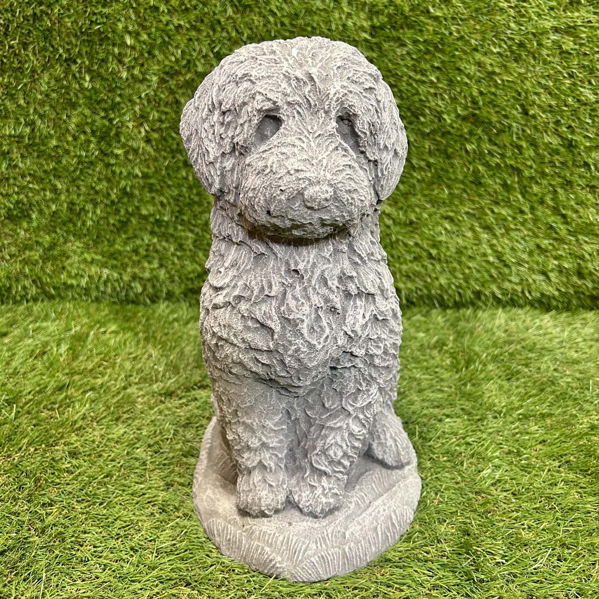 Cockapoo