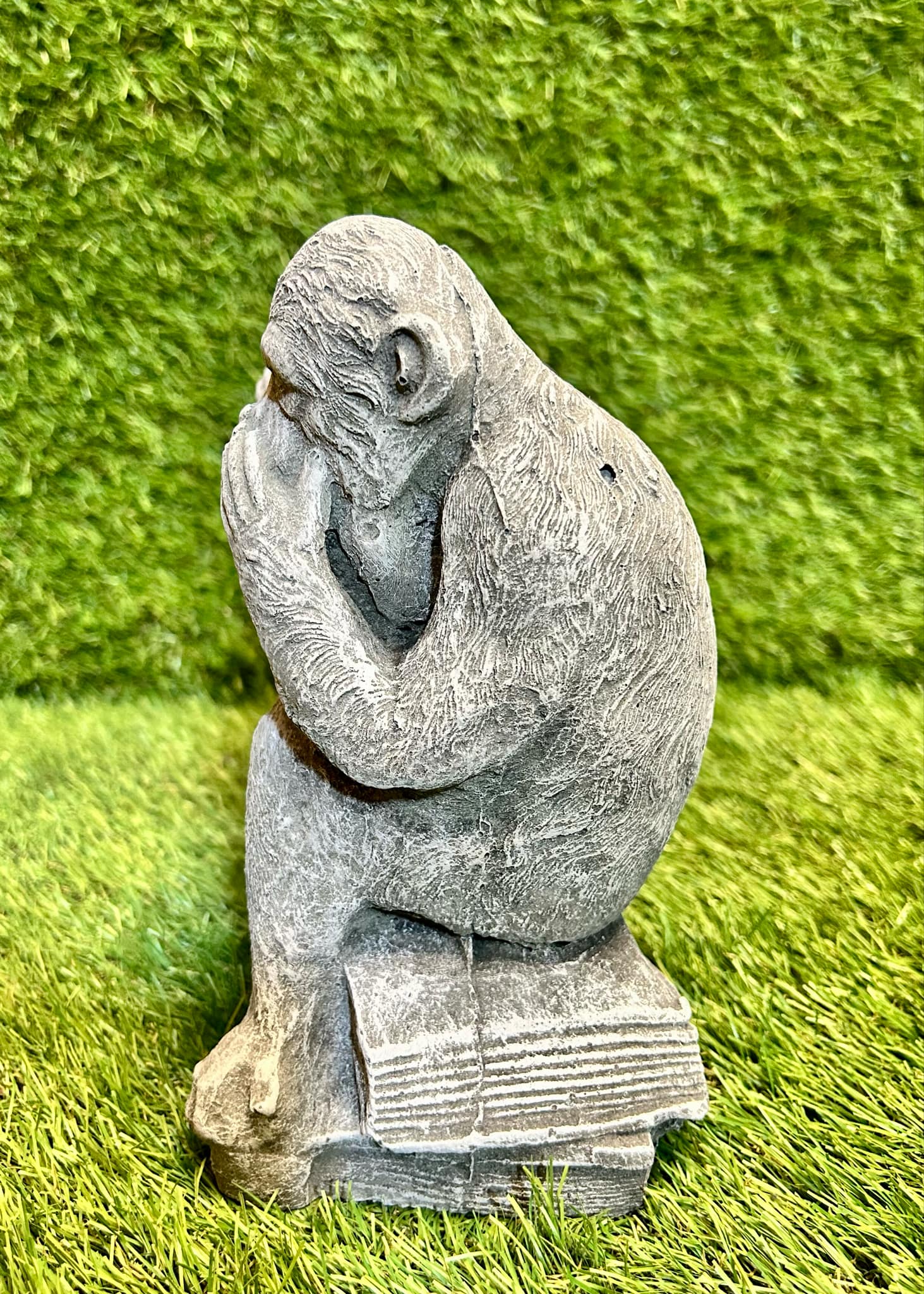 Monkeys (Hear, See, Speak No Evil) On A Book