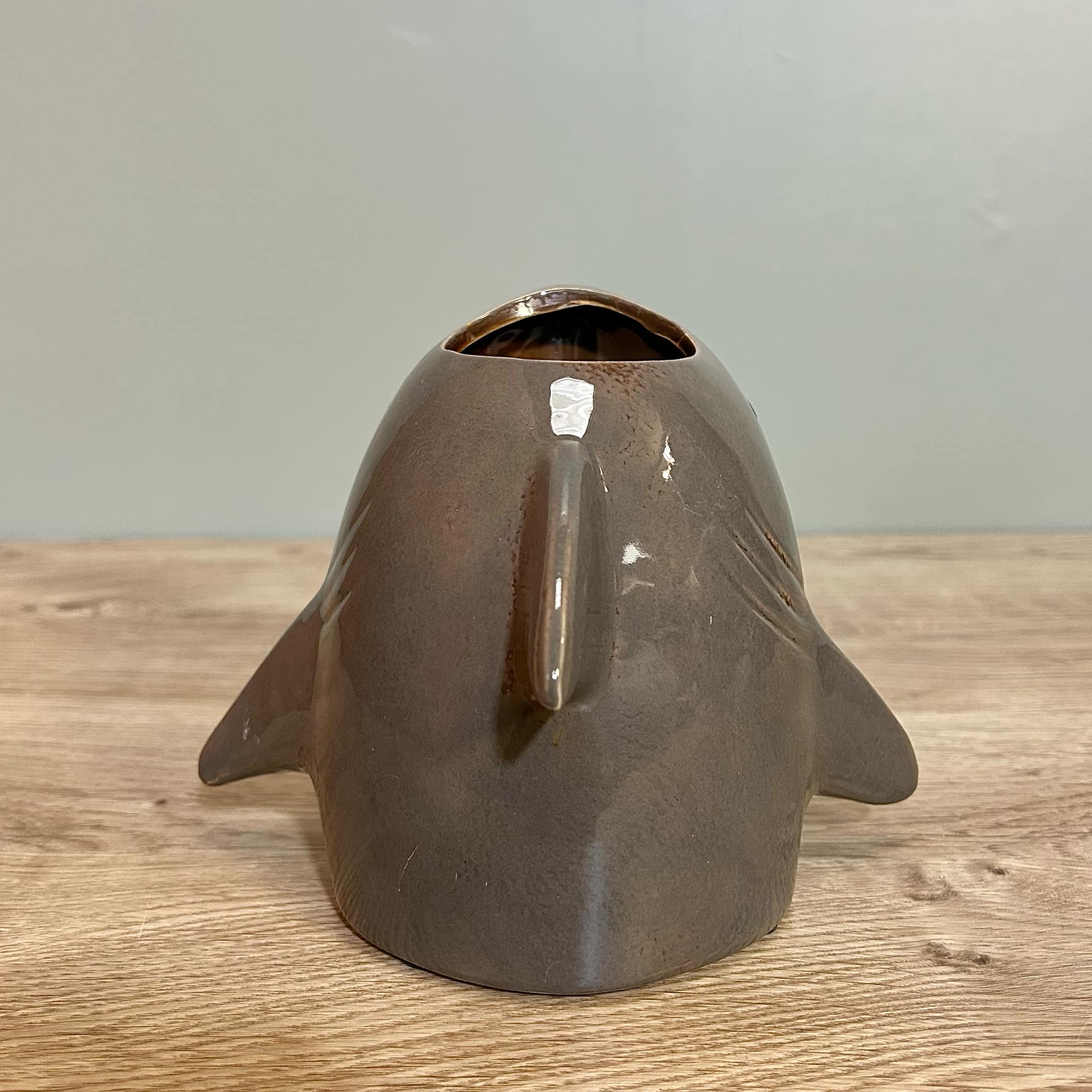 Shark Planter