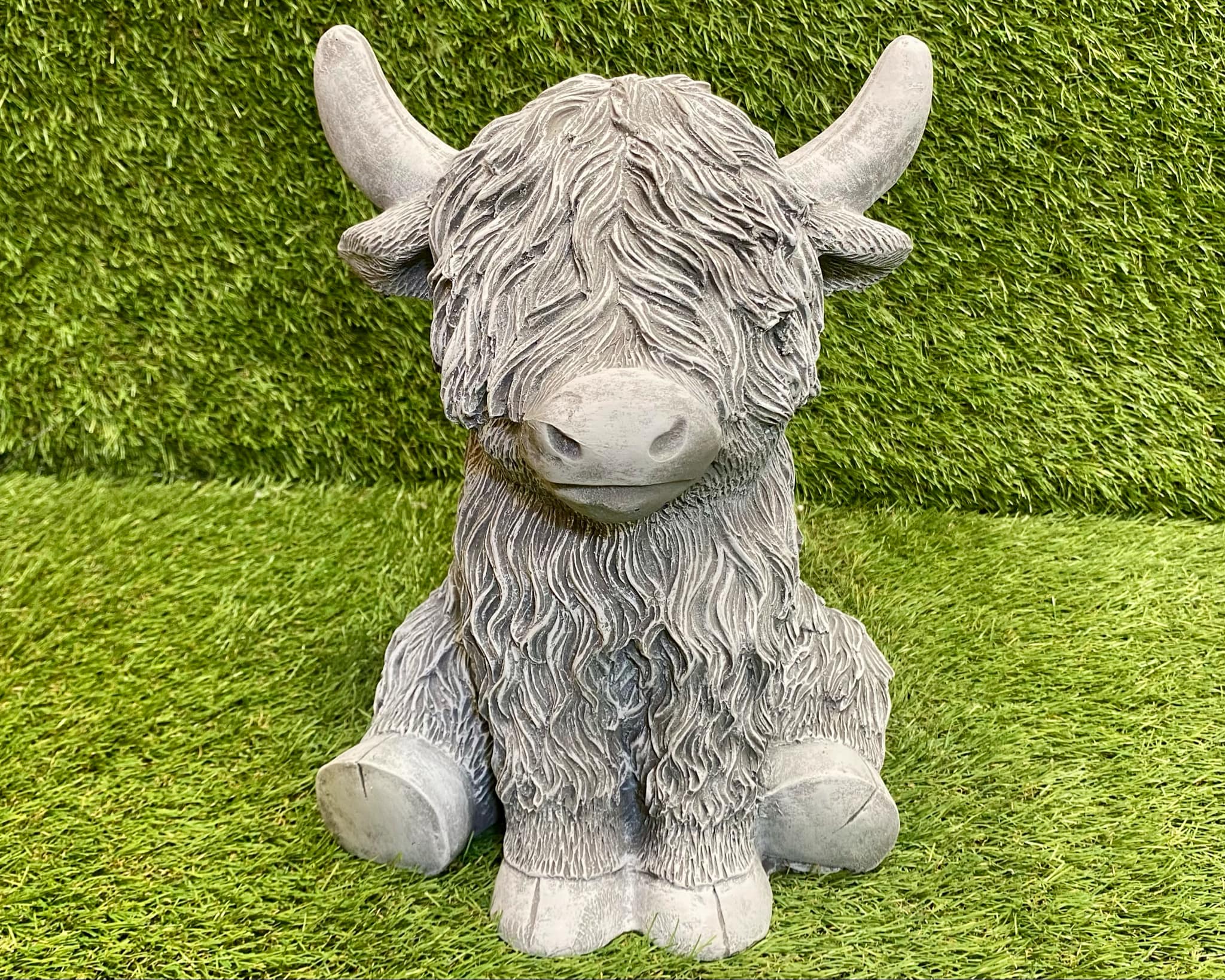 Highland Cow