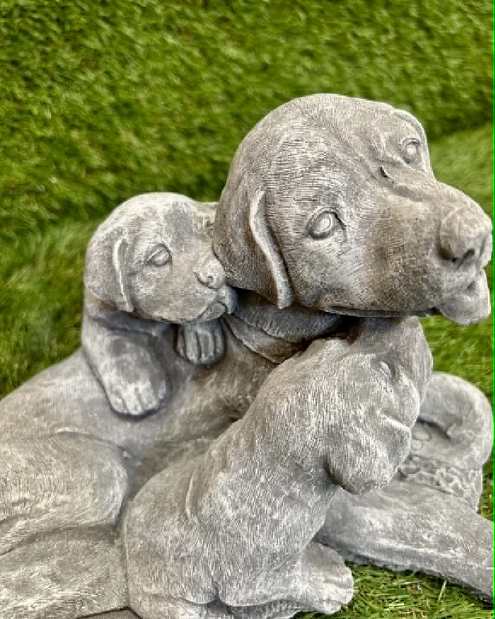 Dog With Puppies