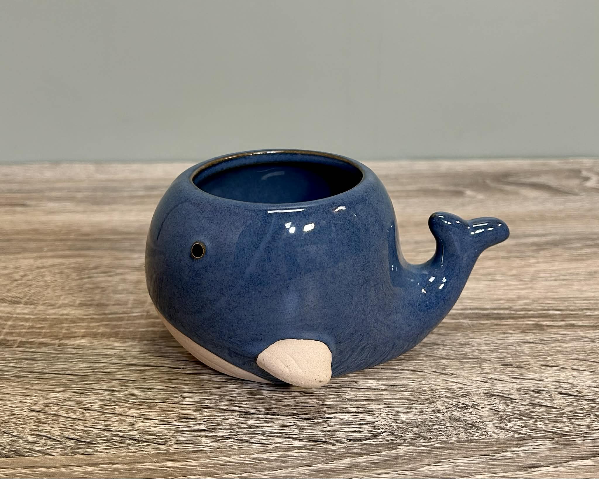 Ceramic Small Whale Planter