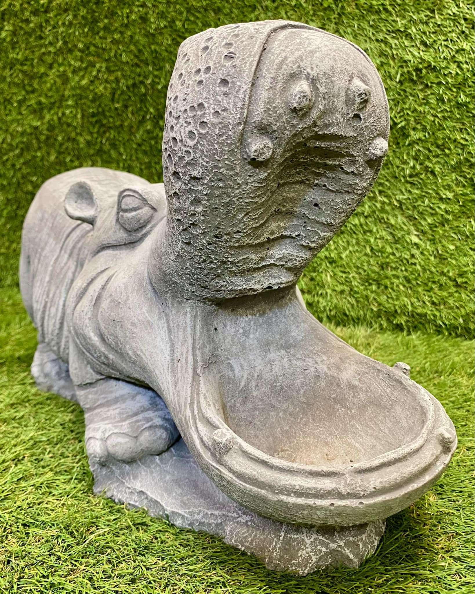 Large Hippo