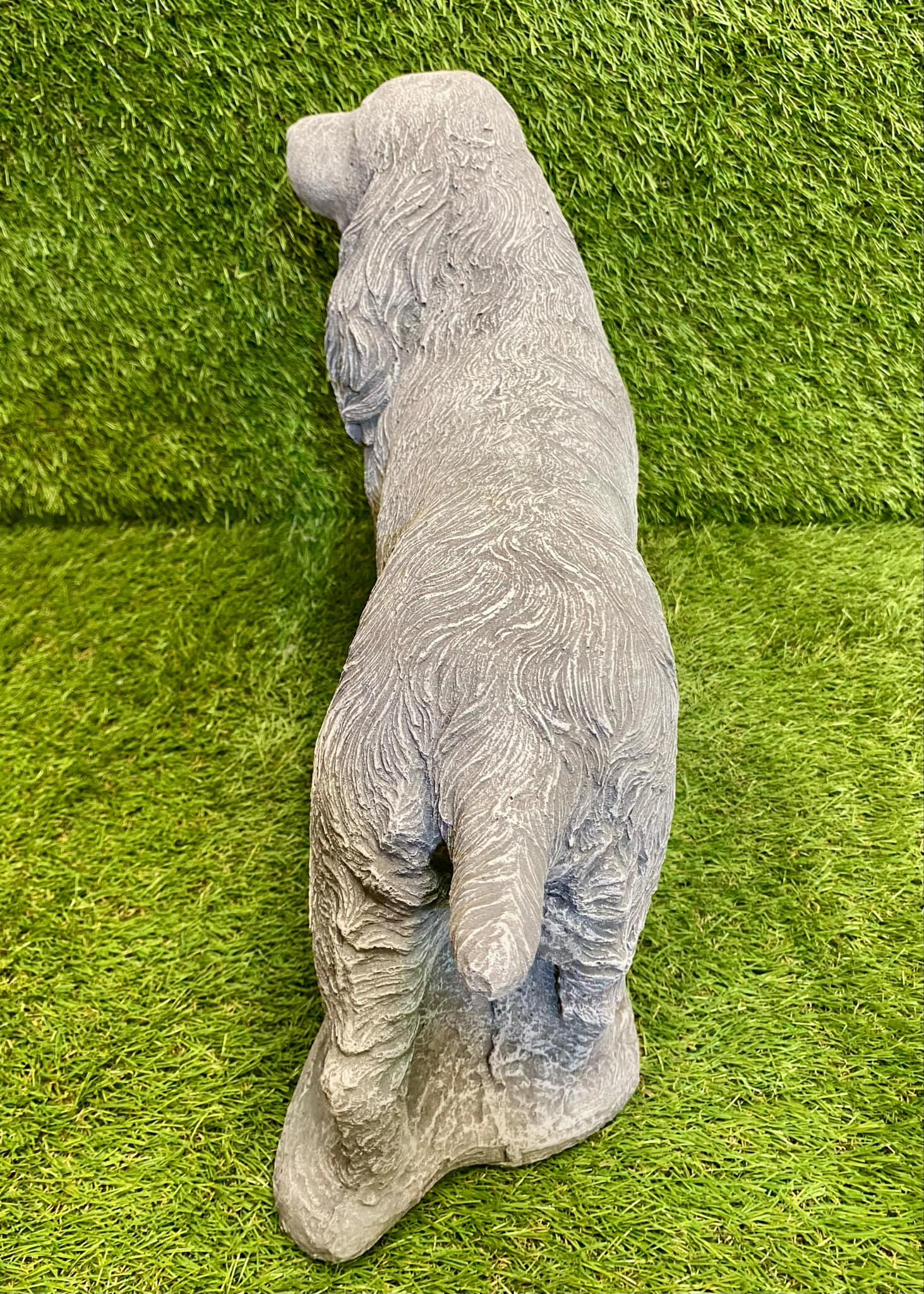 Large Spaniel Dog