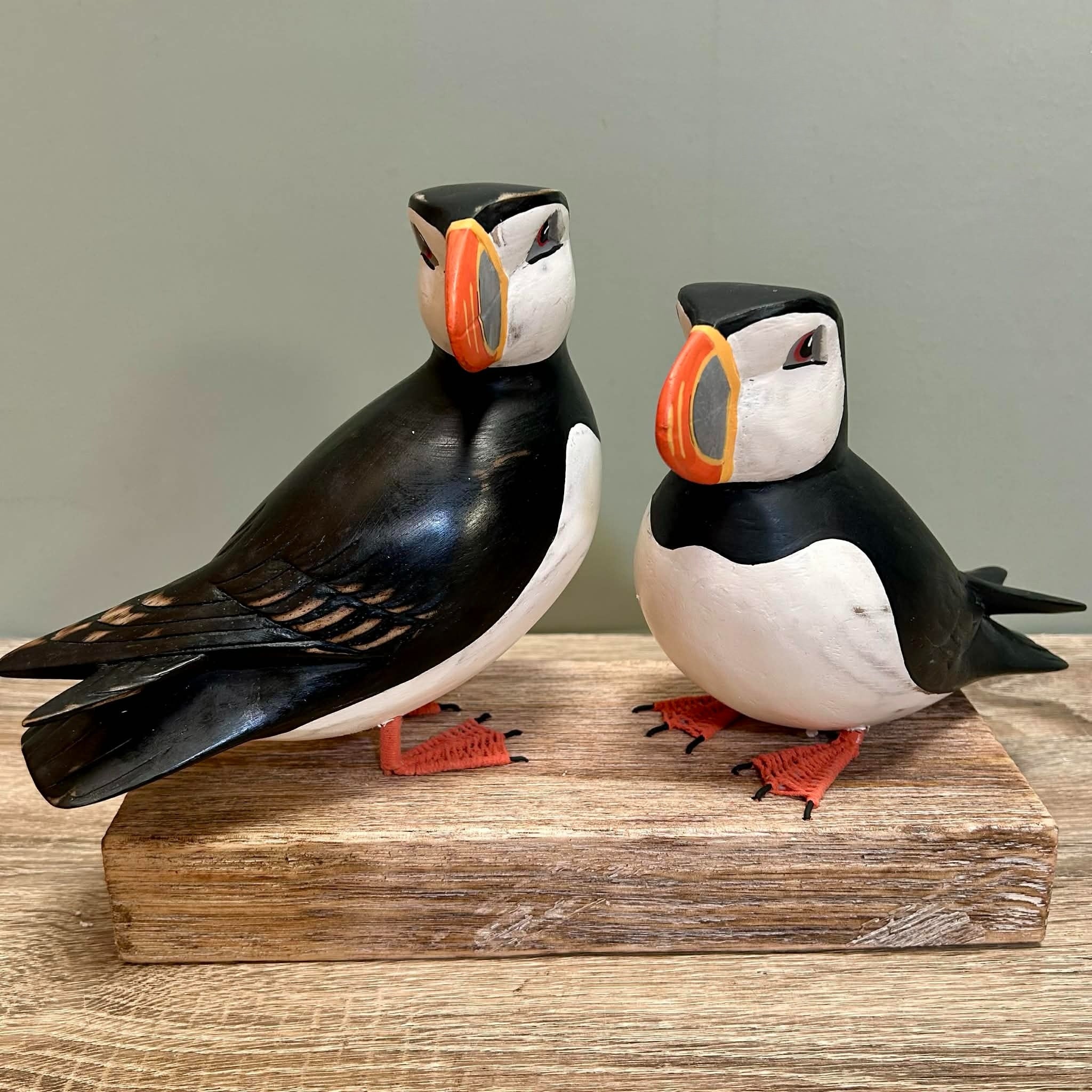 Puffins On Wooden Stand