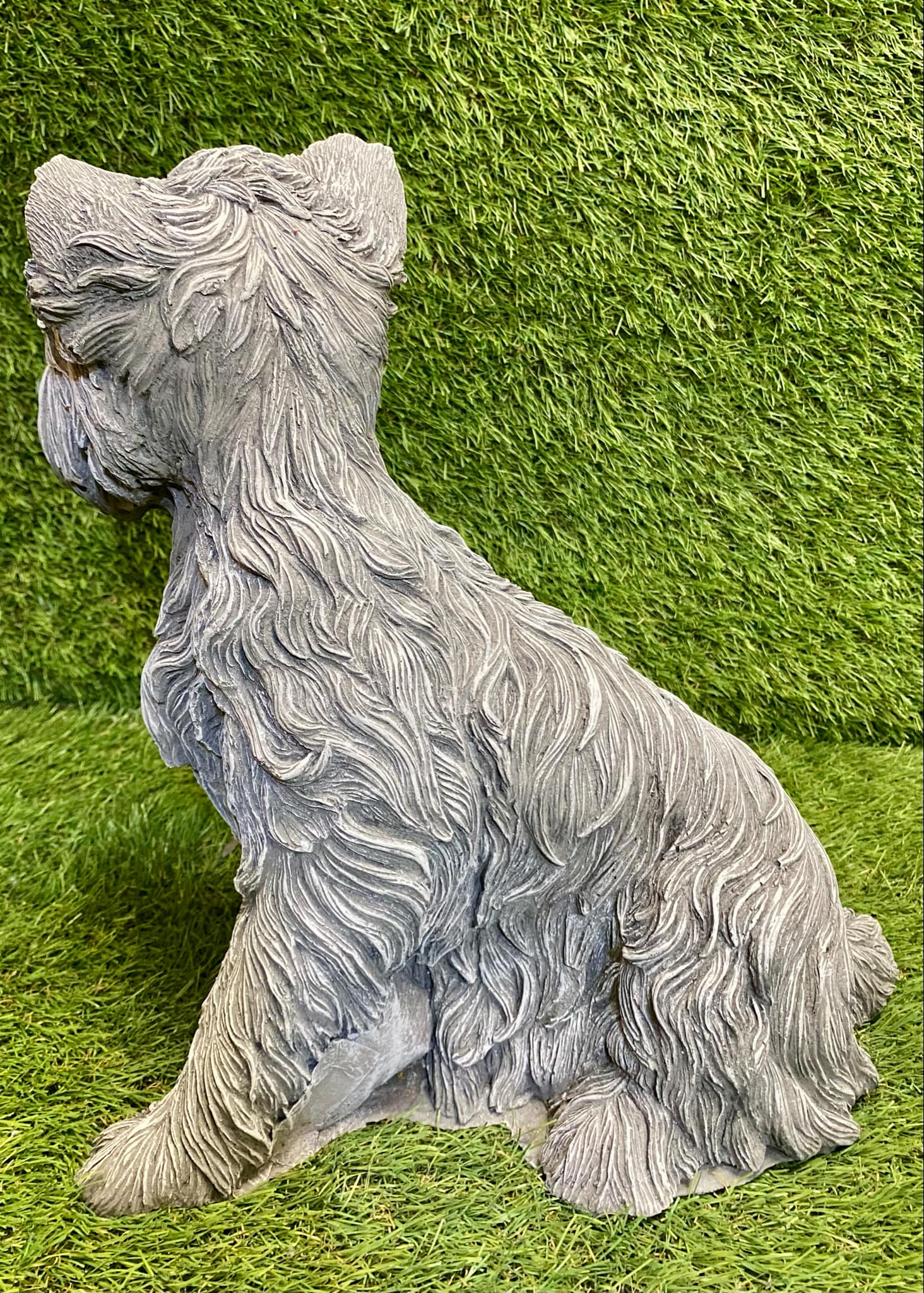 Large Westie Dog