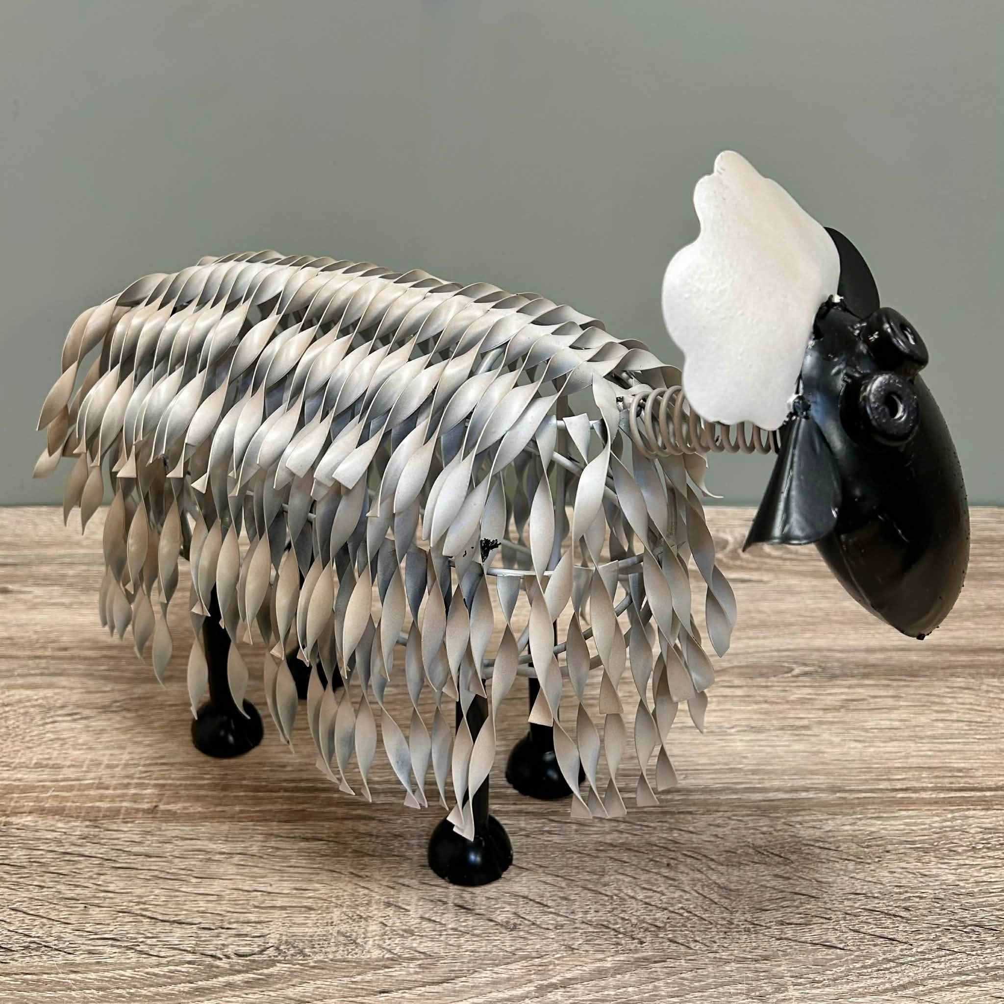 Sheep