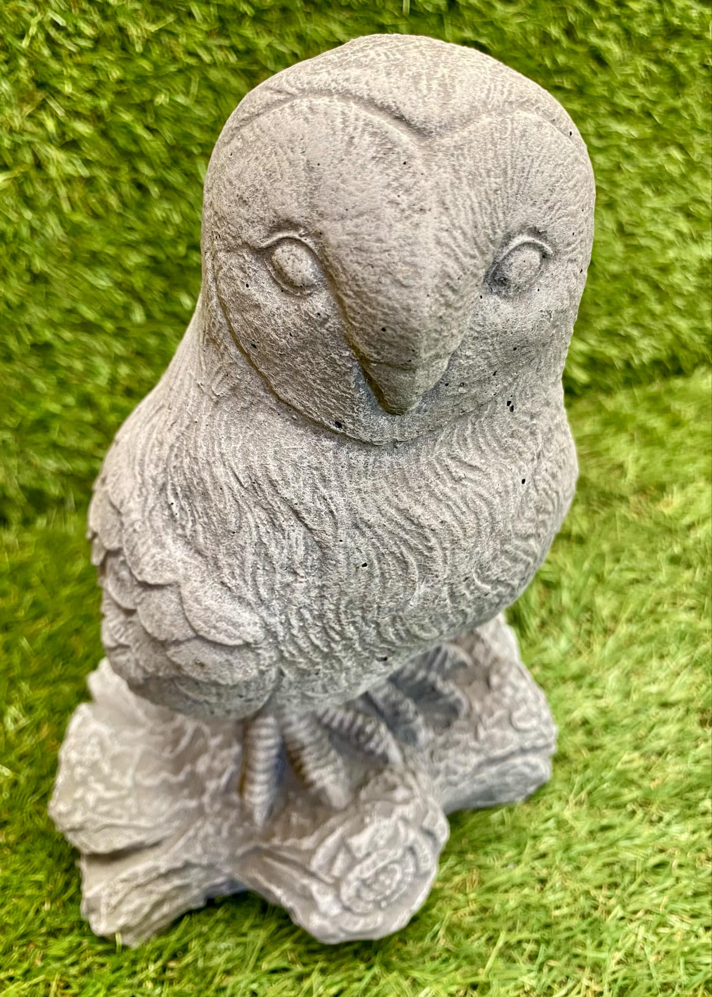 Owl On Log