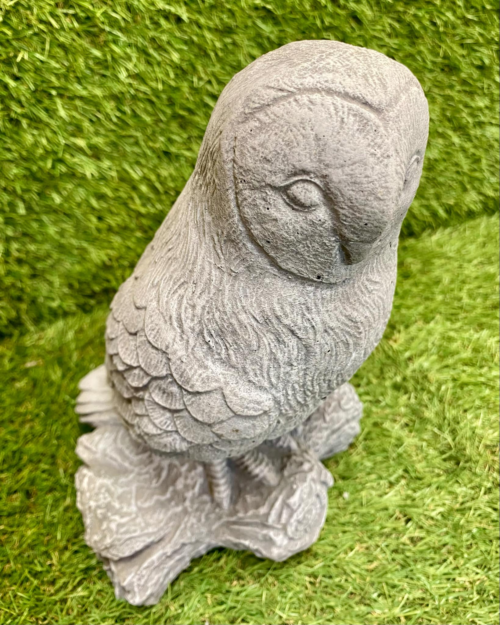 Owl On Log