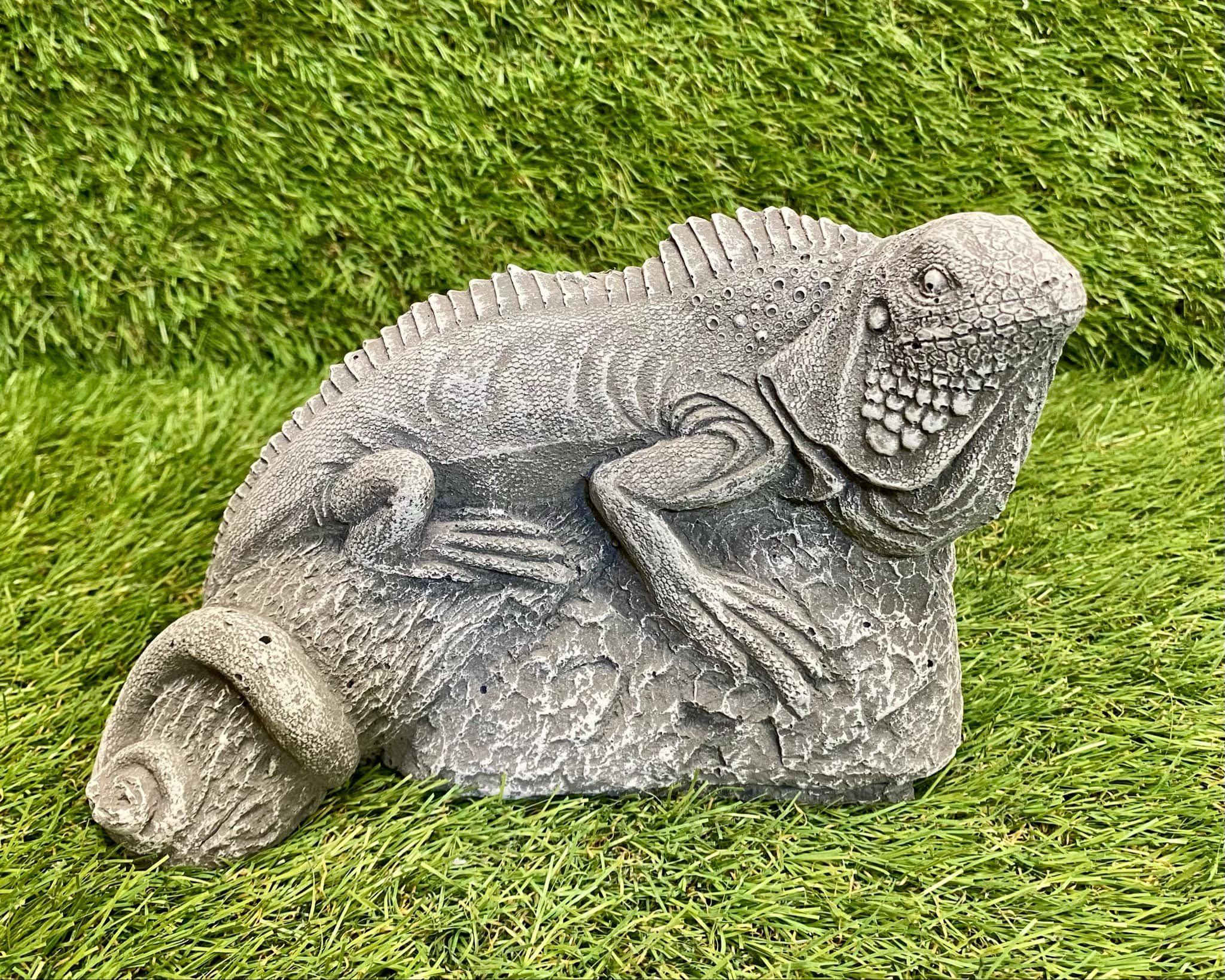 Iguana