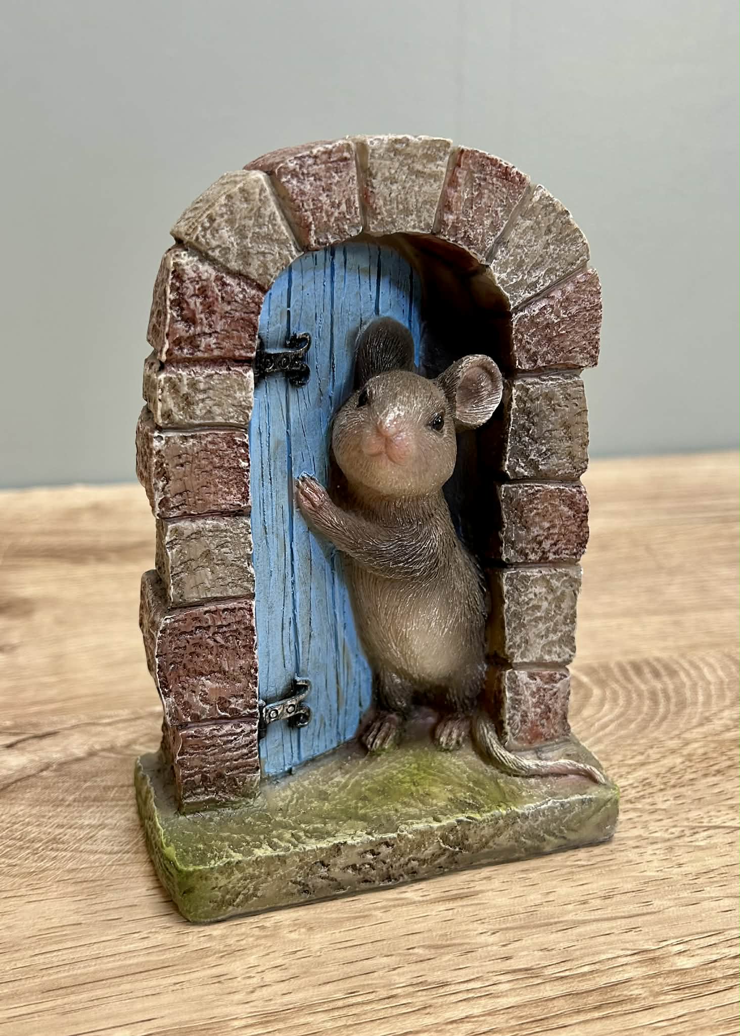 Mouse Door