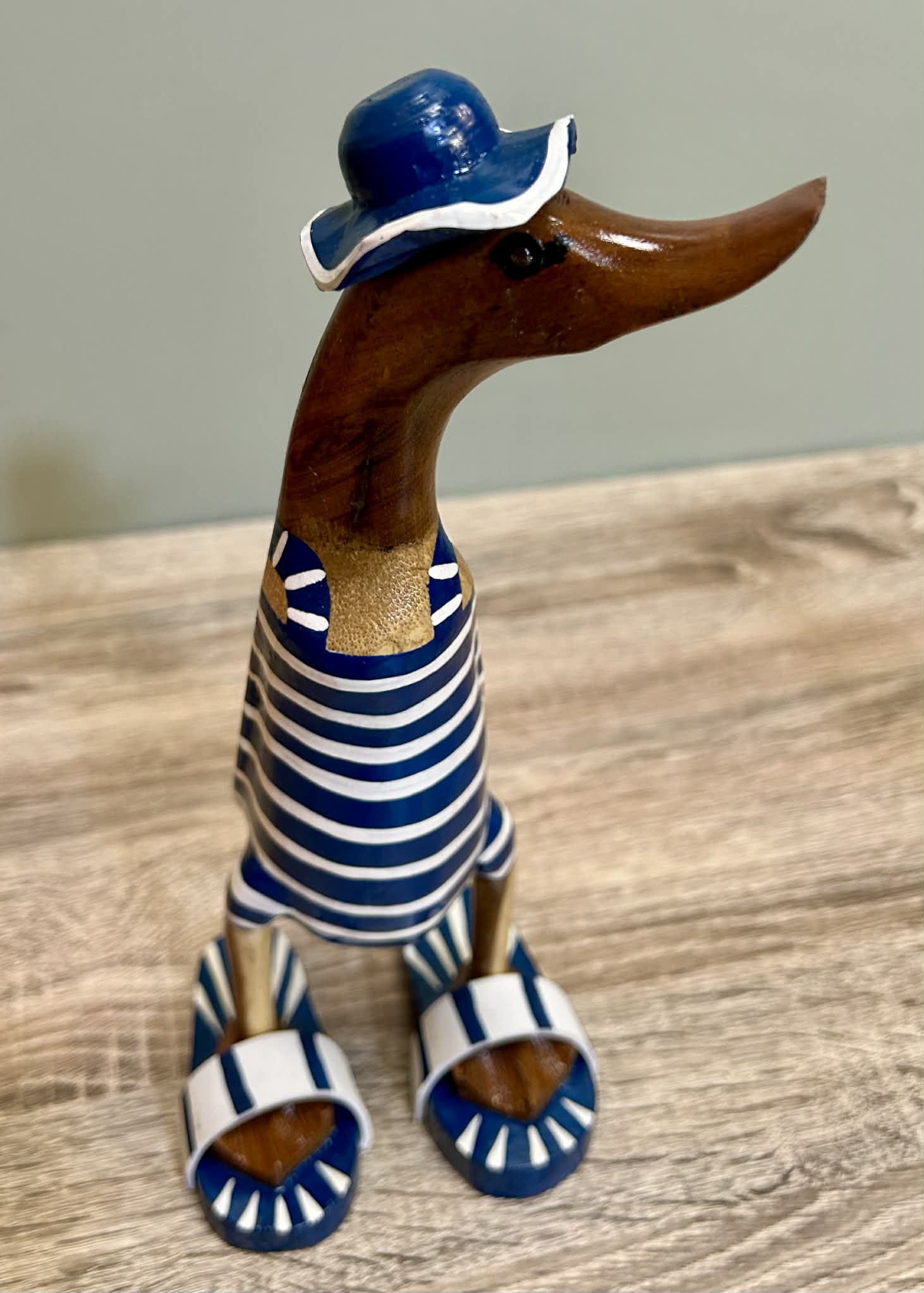 Wooden Ducks Swimsuits