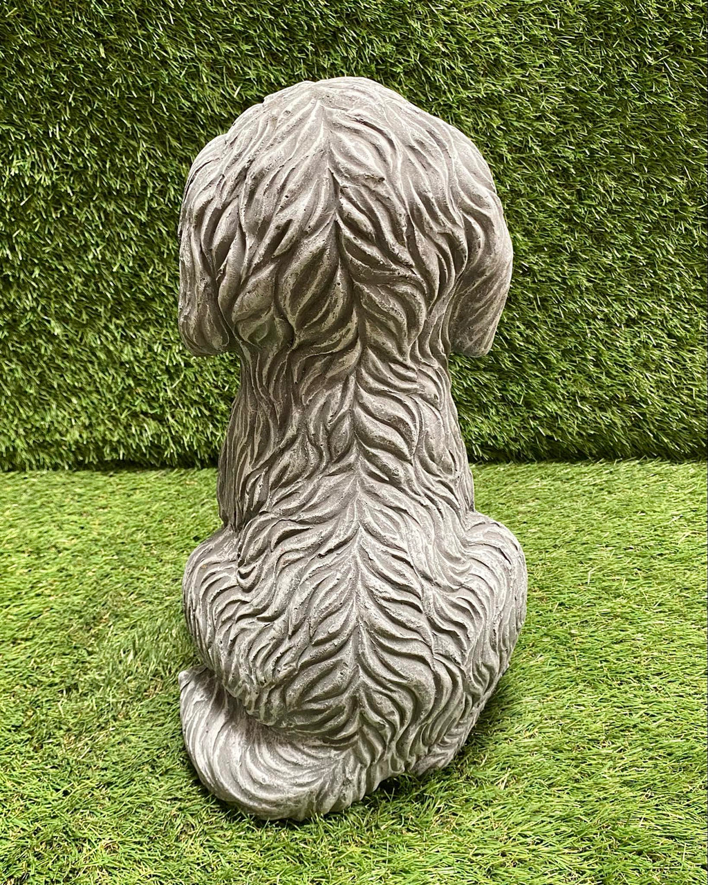 Larger Cockapoo Large Cockapoo Dog