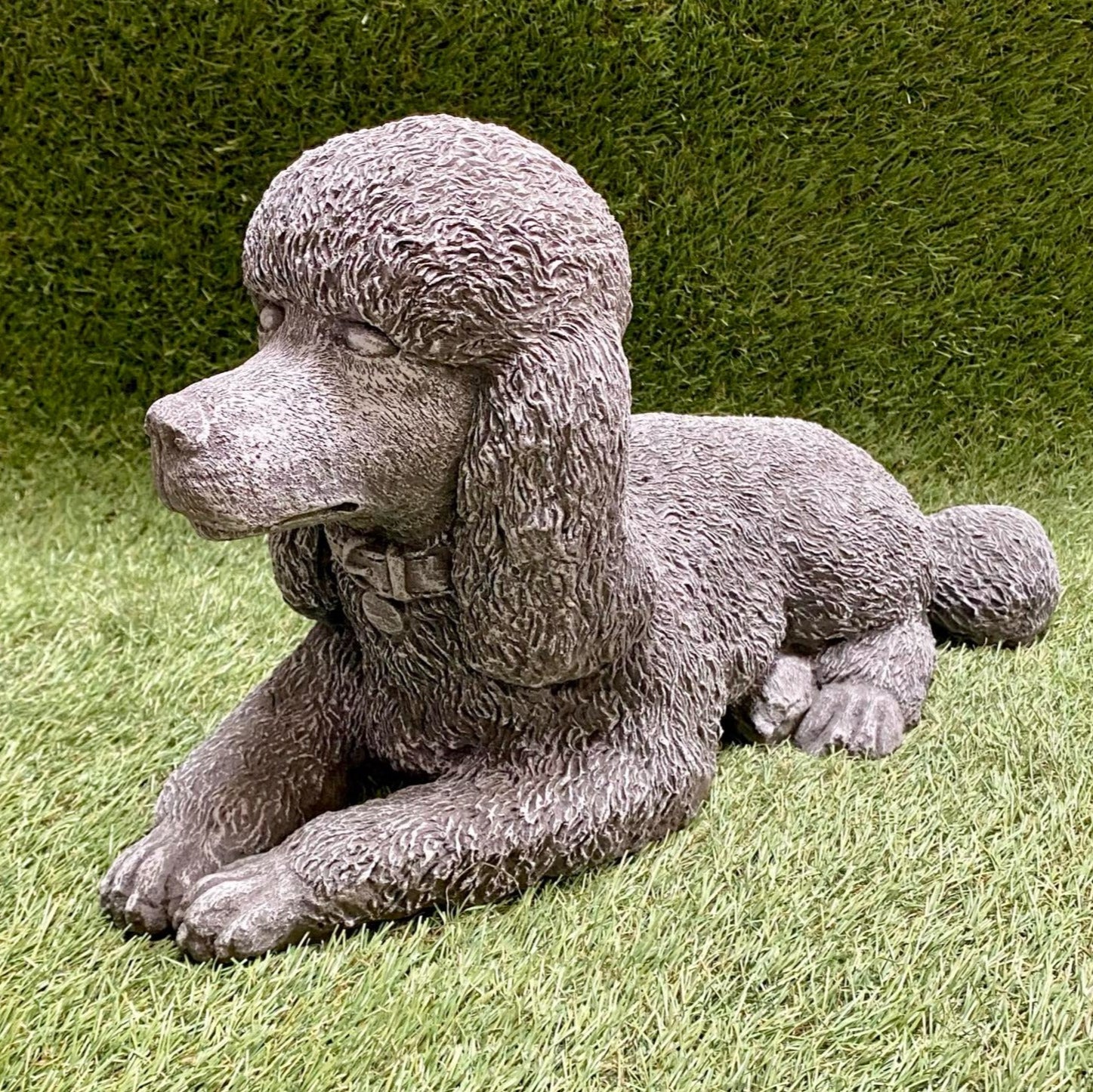 Large Poodle