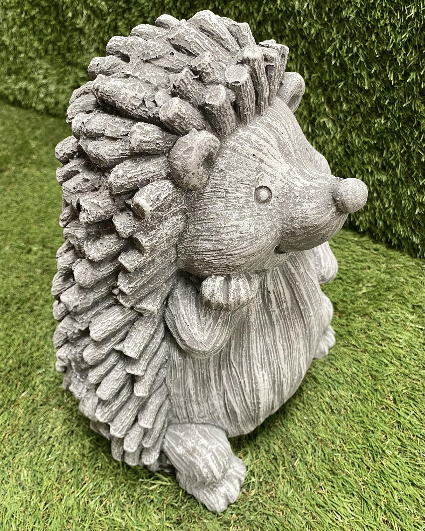 Large Hedgehog