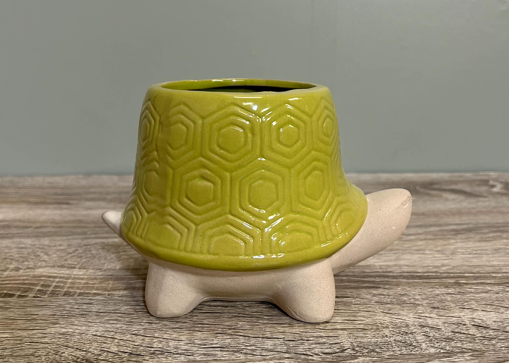 Ceramic Tortoise Planter