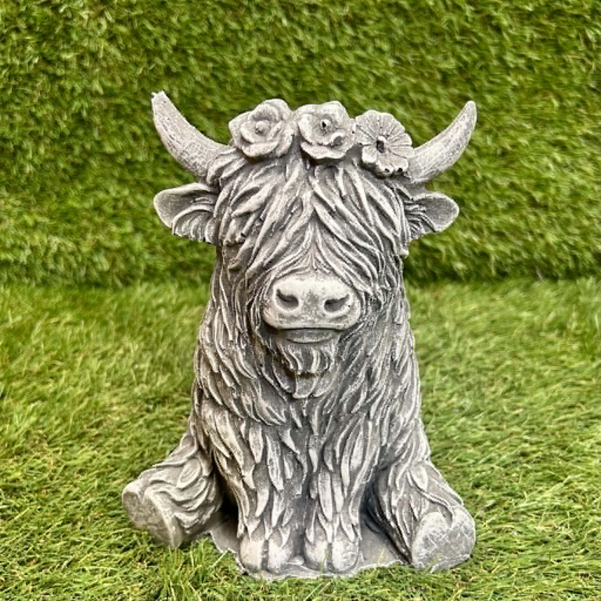 Small Highland Cow