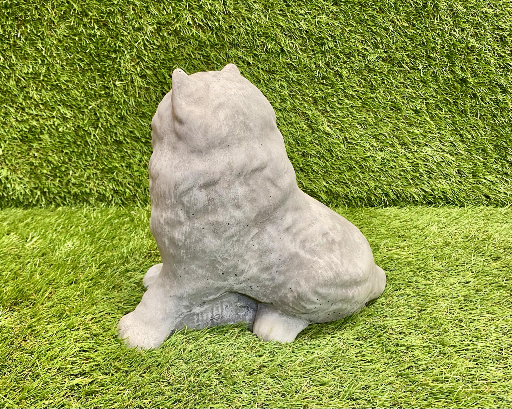 Large Persian Cat