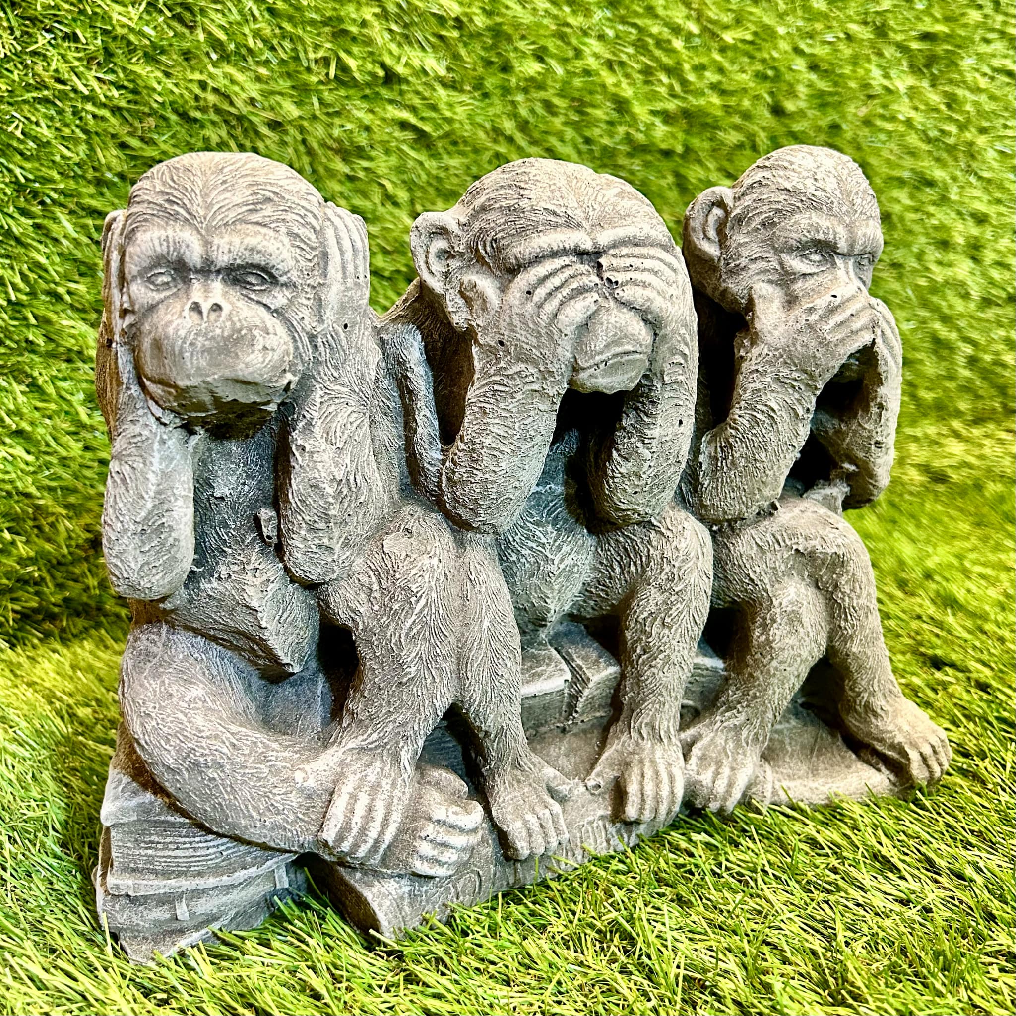 Monkeys (Hear, See, Speak No Evil) On A Book