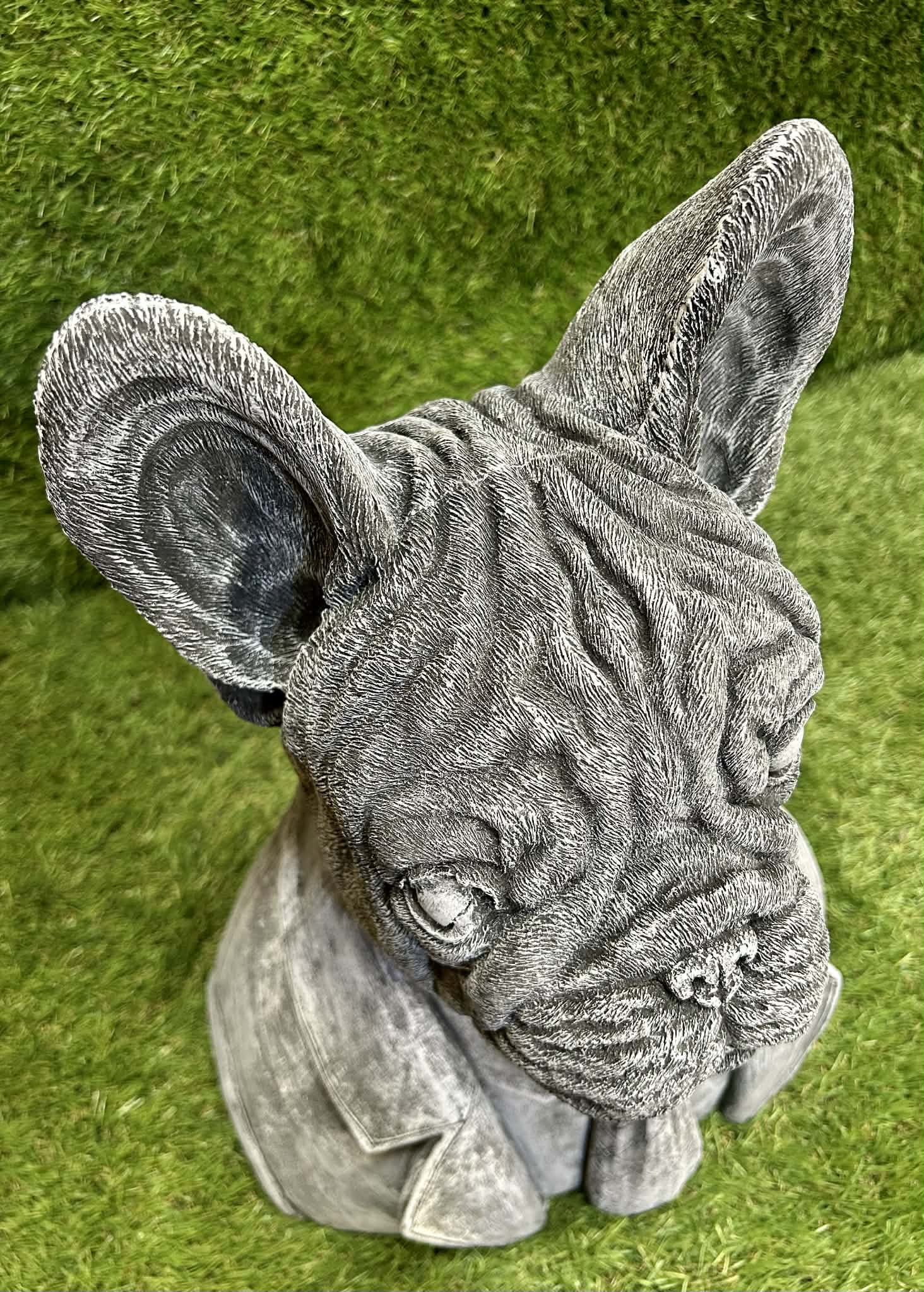 Large French Bulldog Bust