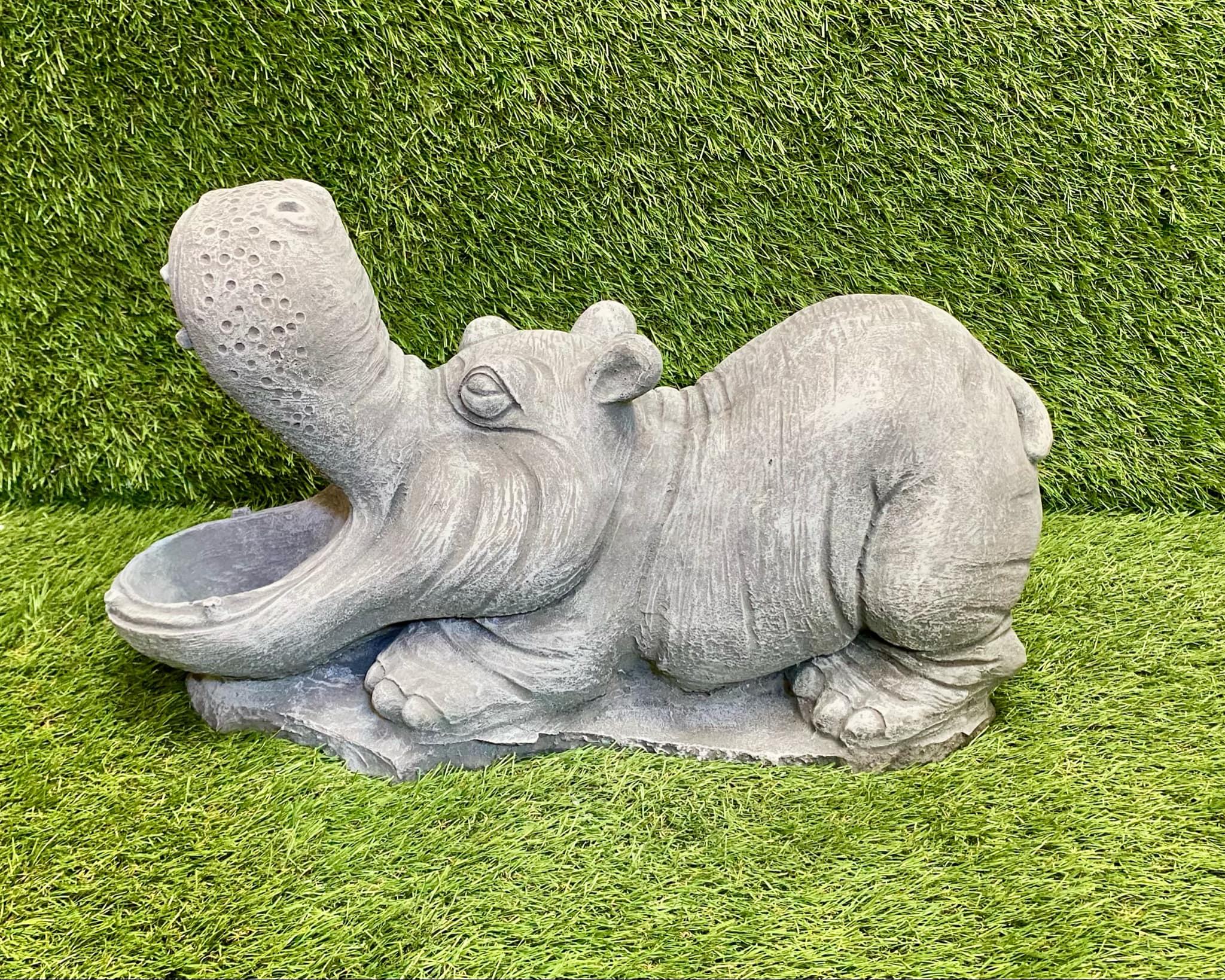 Large Hippo