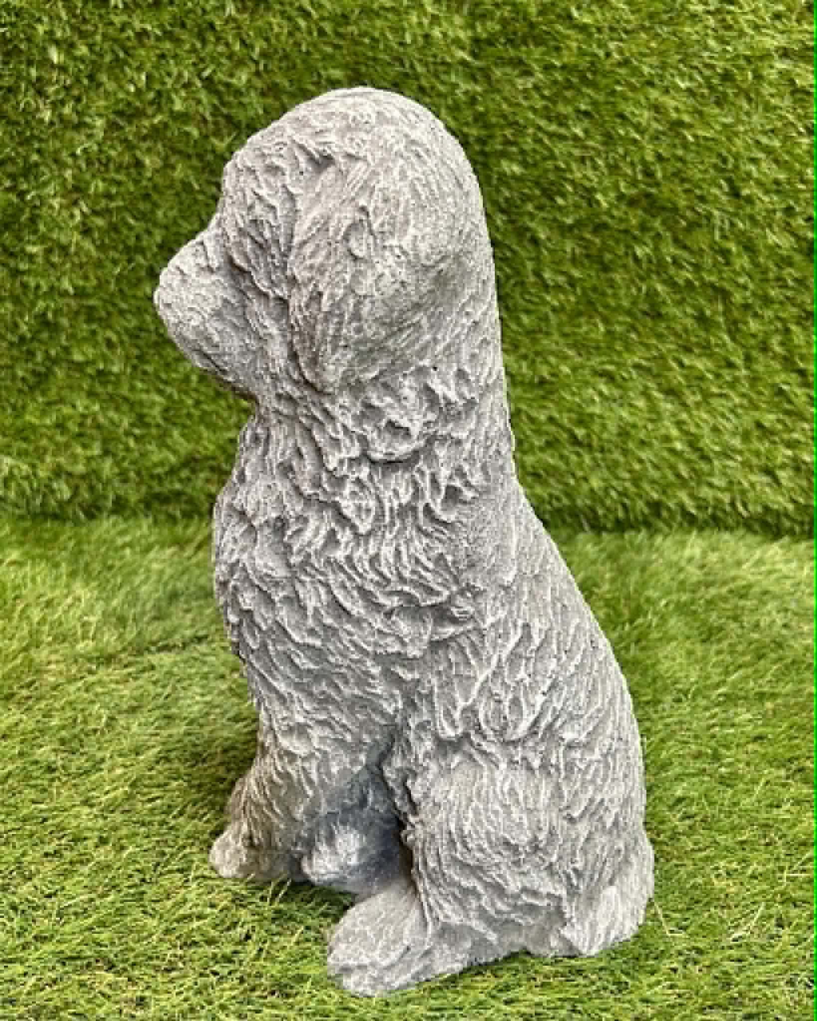 Cockapoo