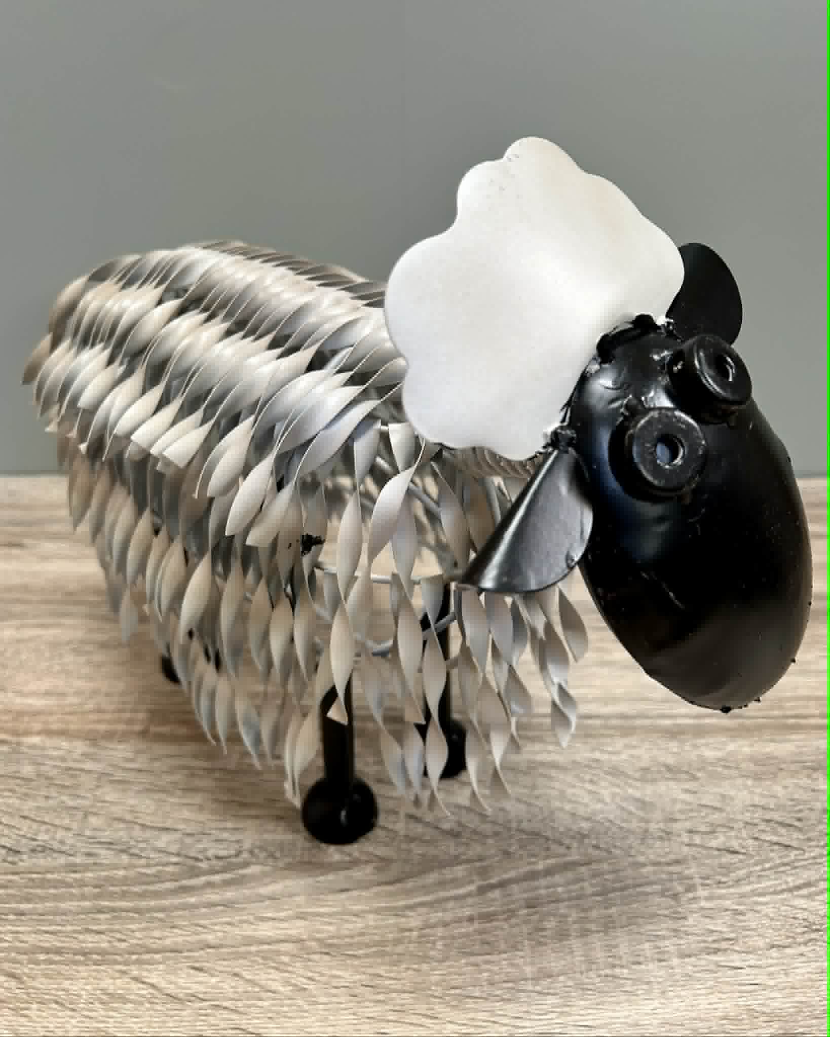 Sheep
