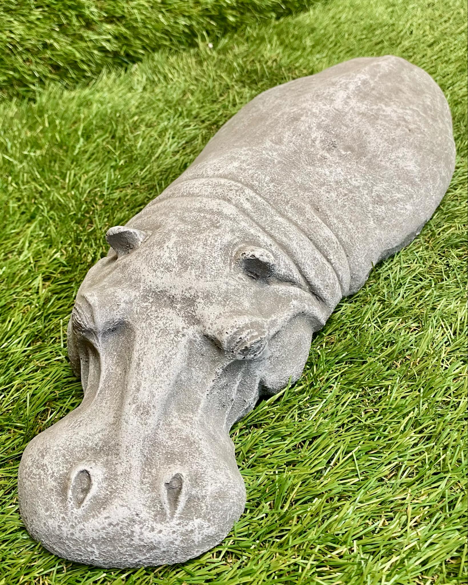 Submerged Hippo