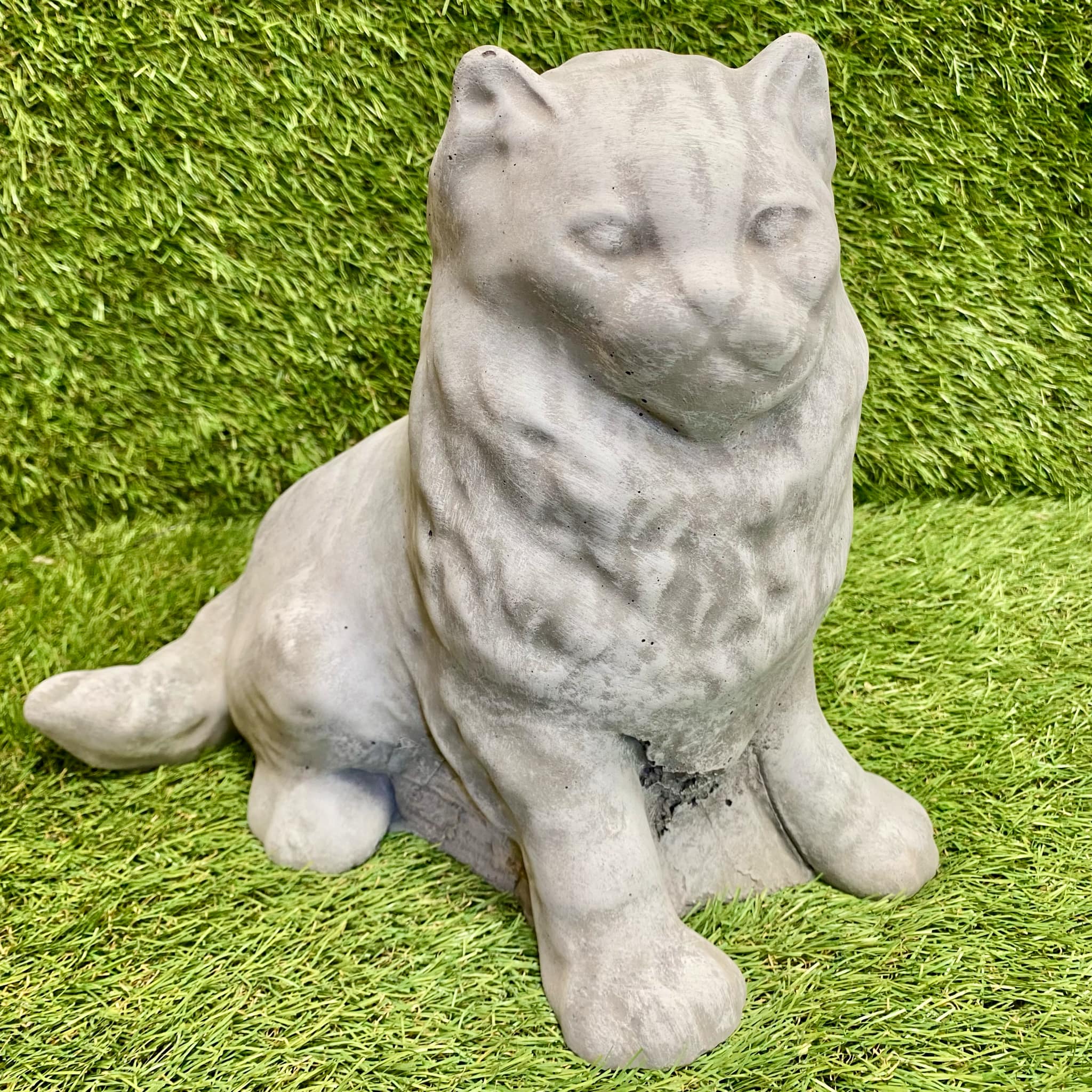 Large Persian Cat