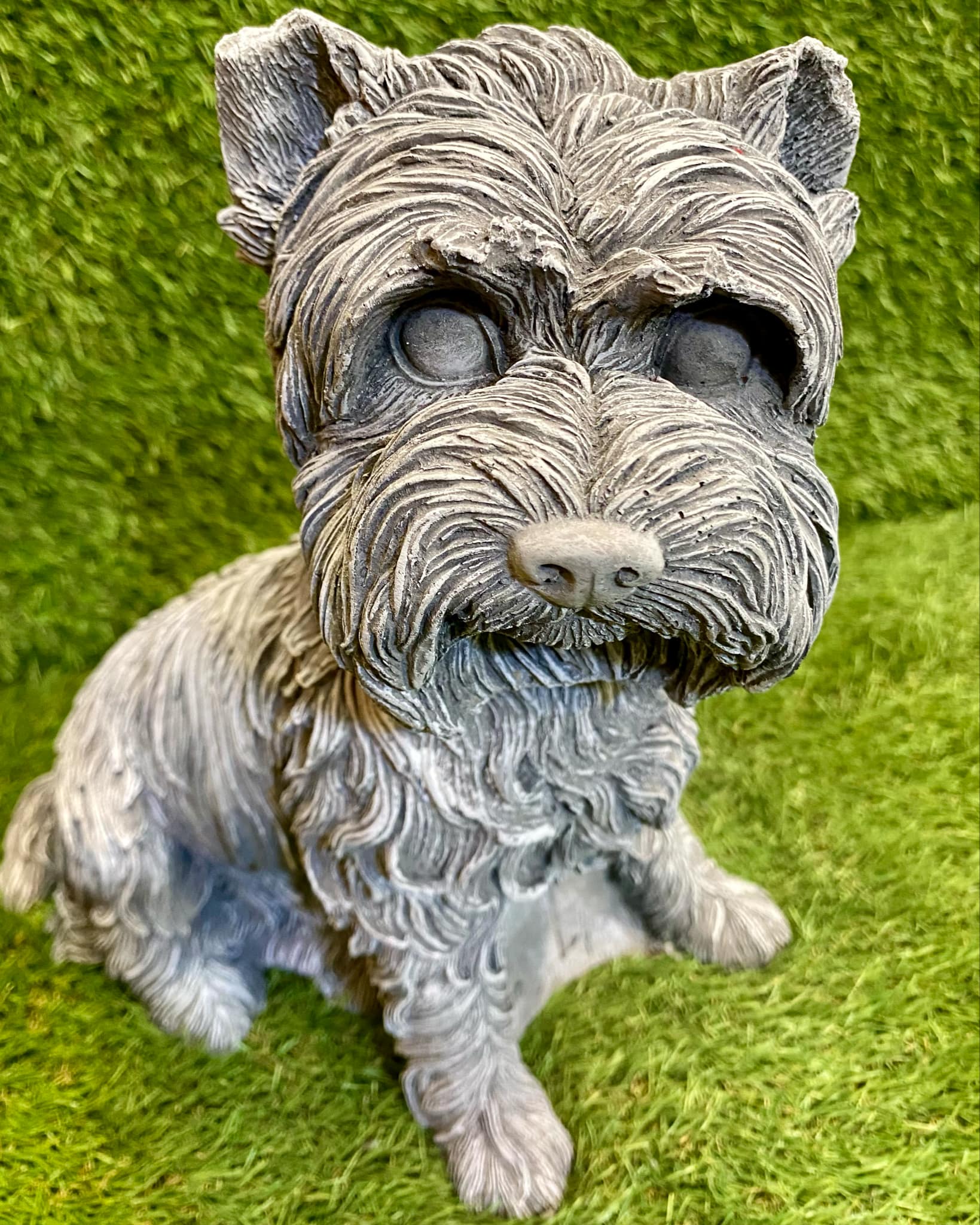 Large Westie Dog