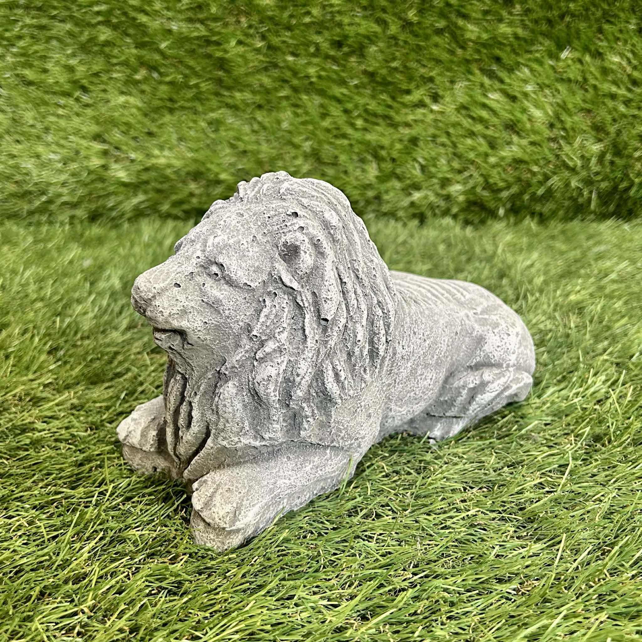 Small Lion
