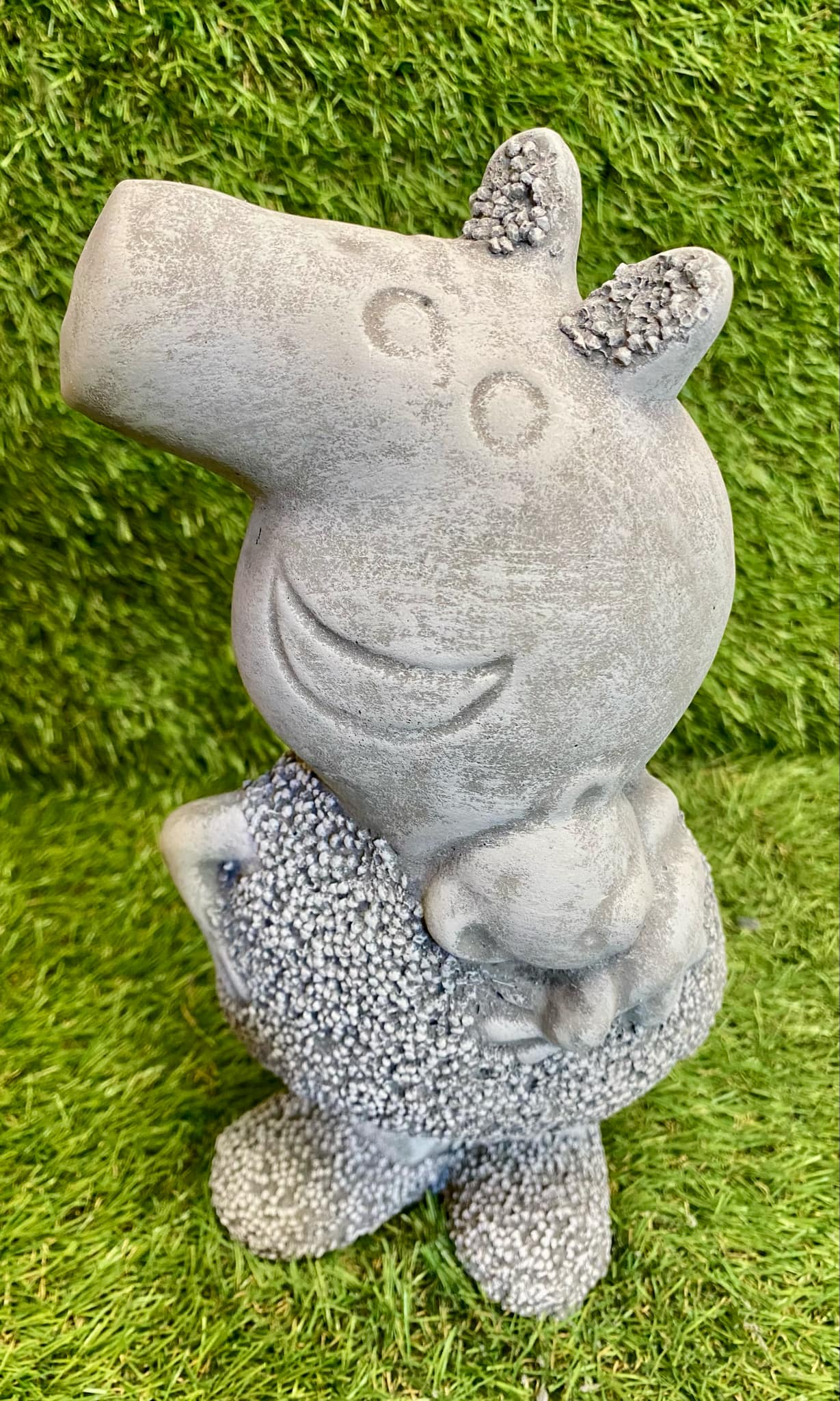 Cartoon Pig
