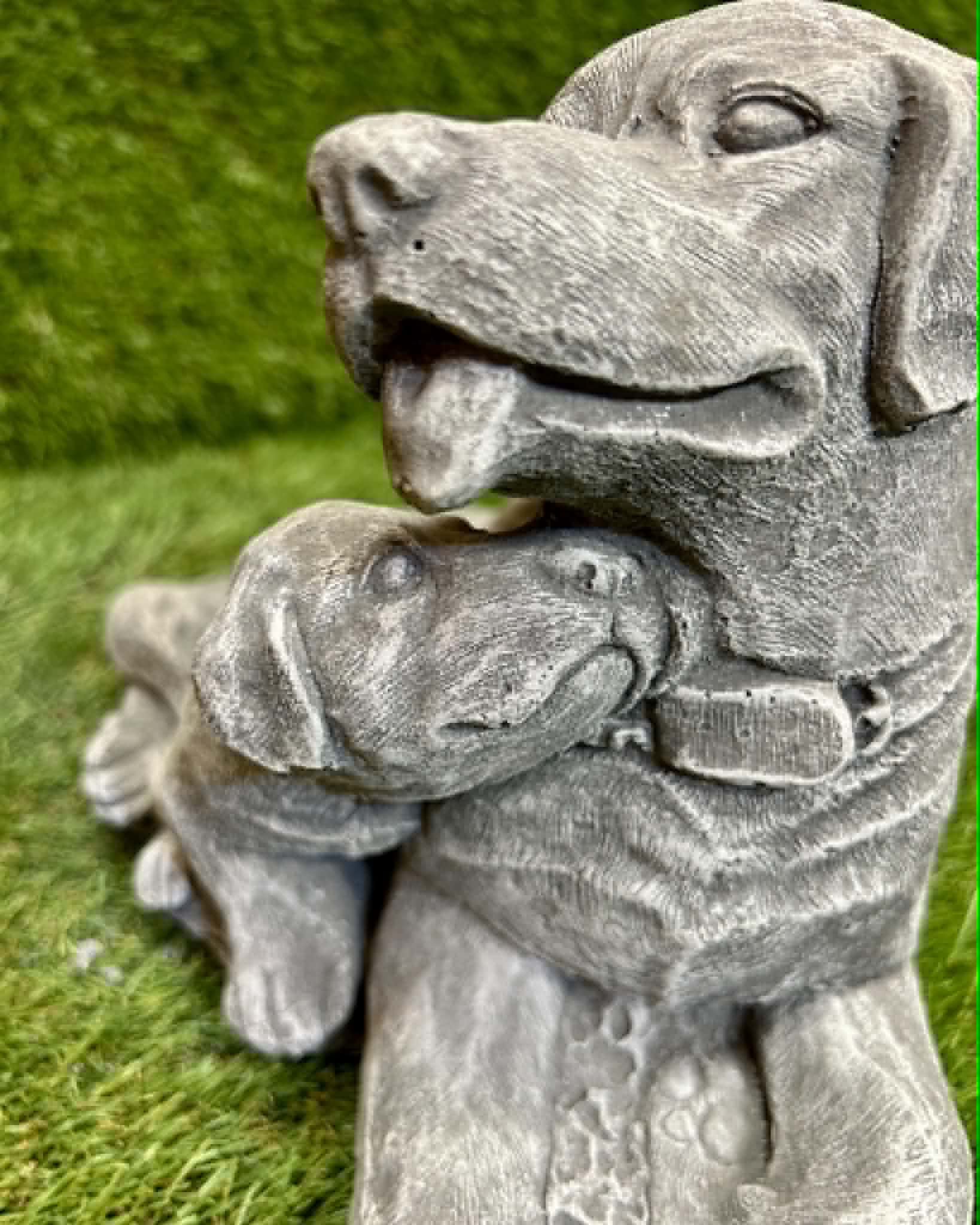 Dog With Puppies